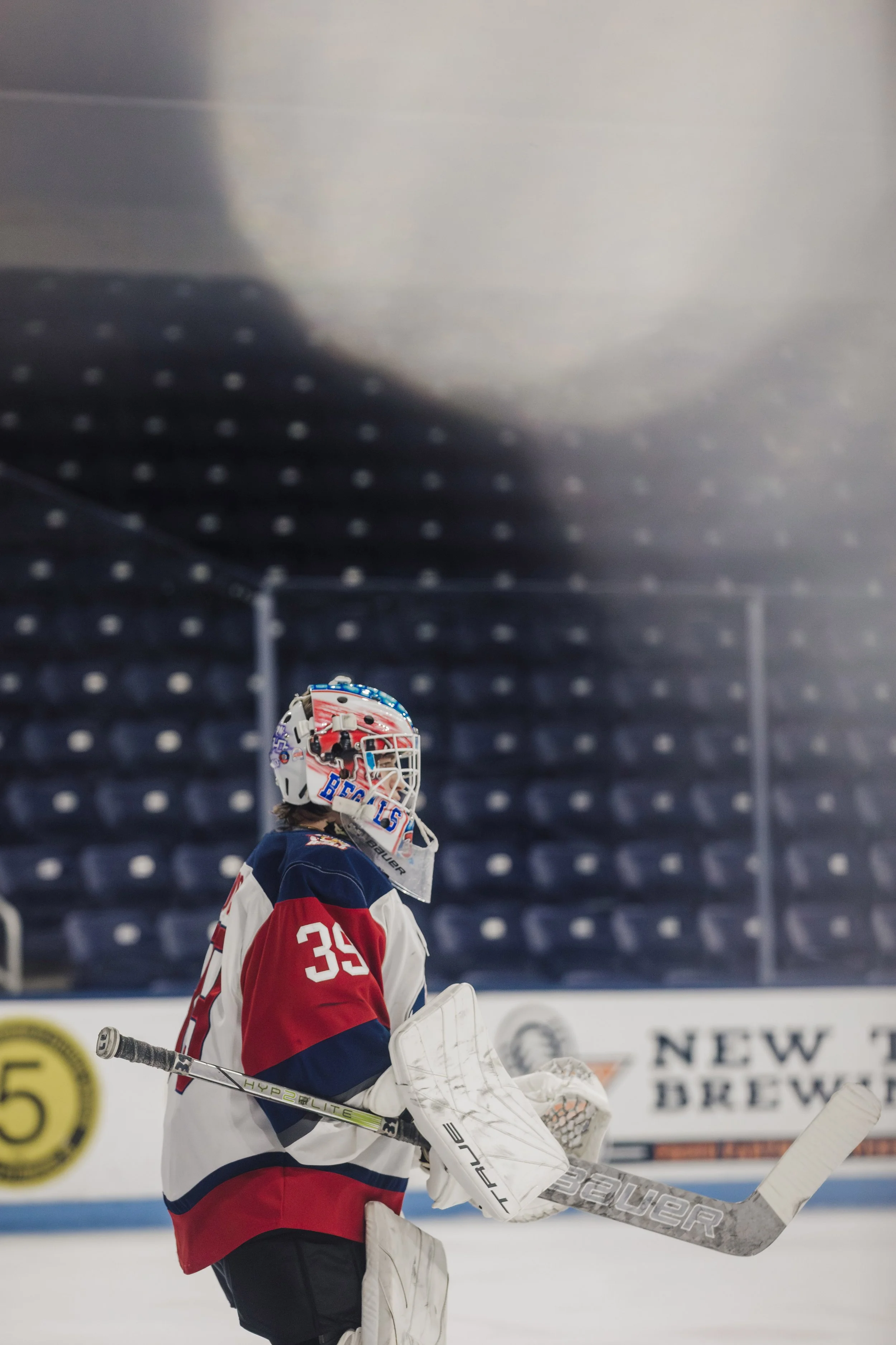 Regalsvs.PitPreds135.jpg