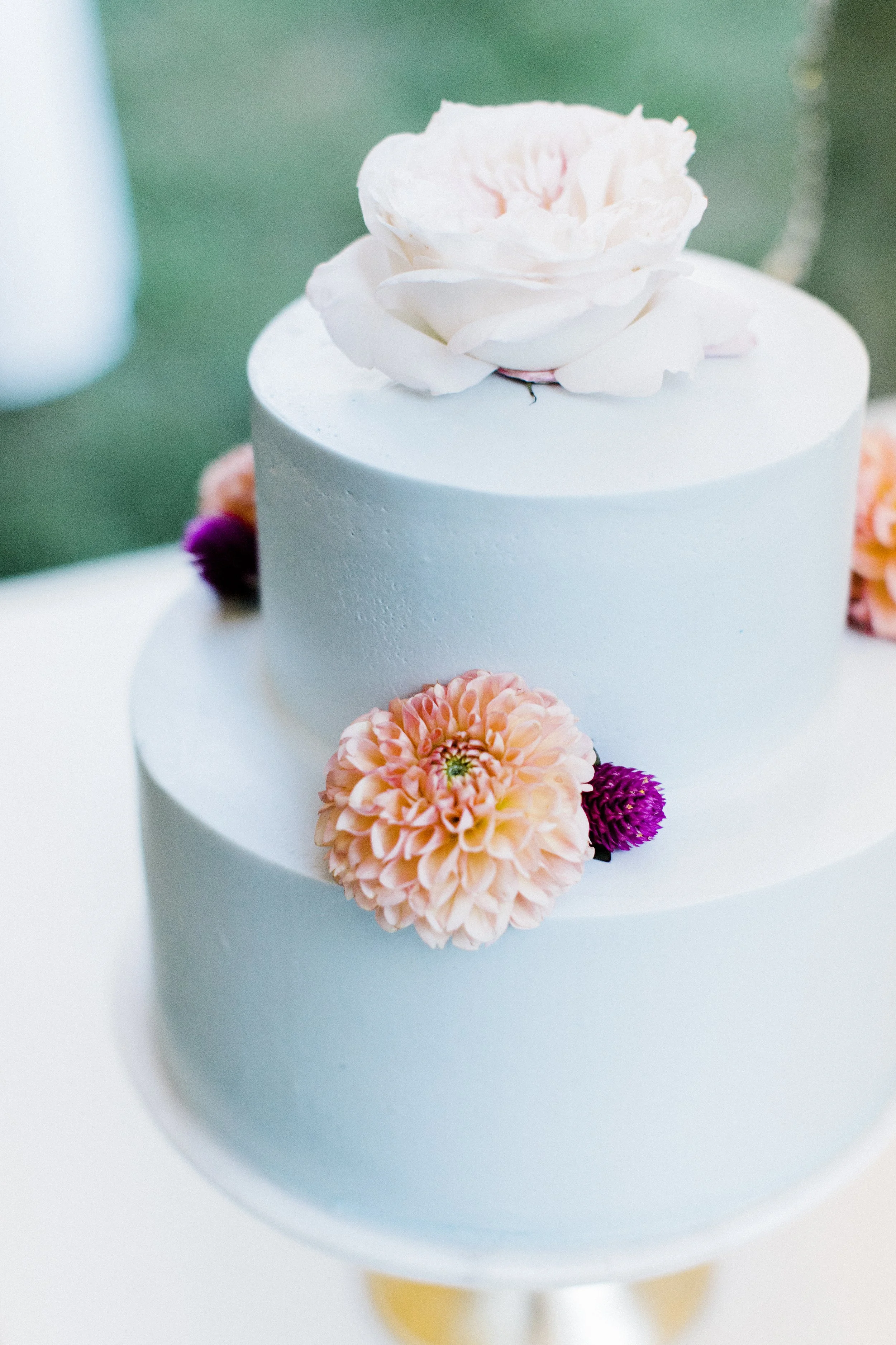MeganandGarrett:CommonDove:B188.jpg