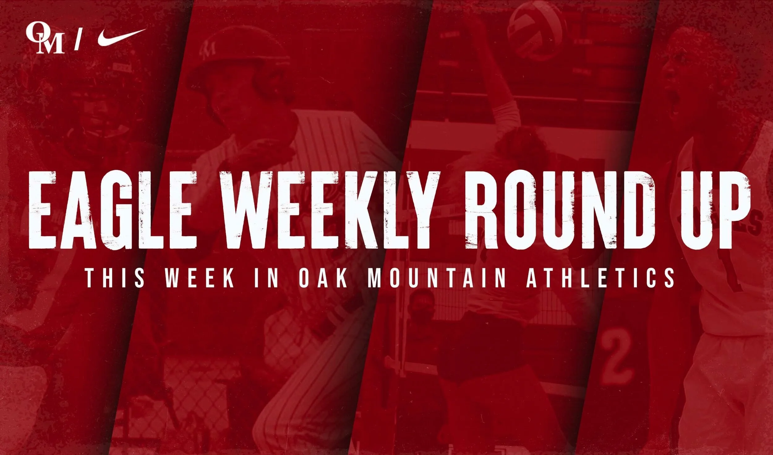 Eagles Weekly Roundup