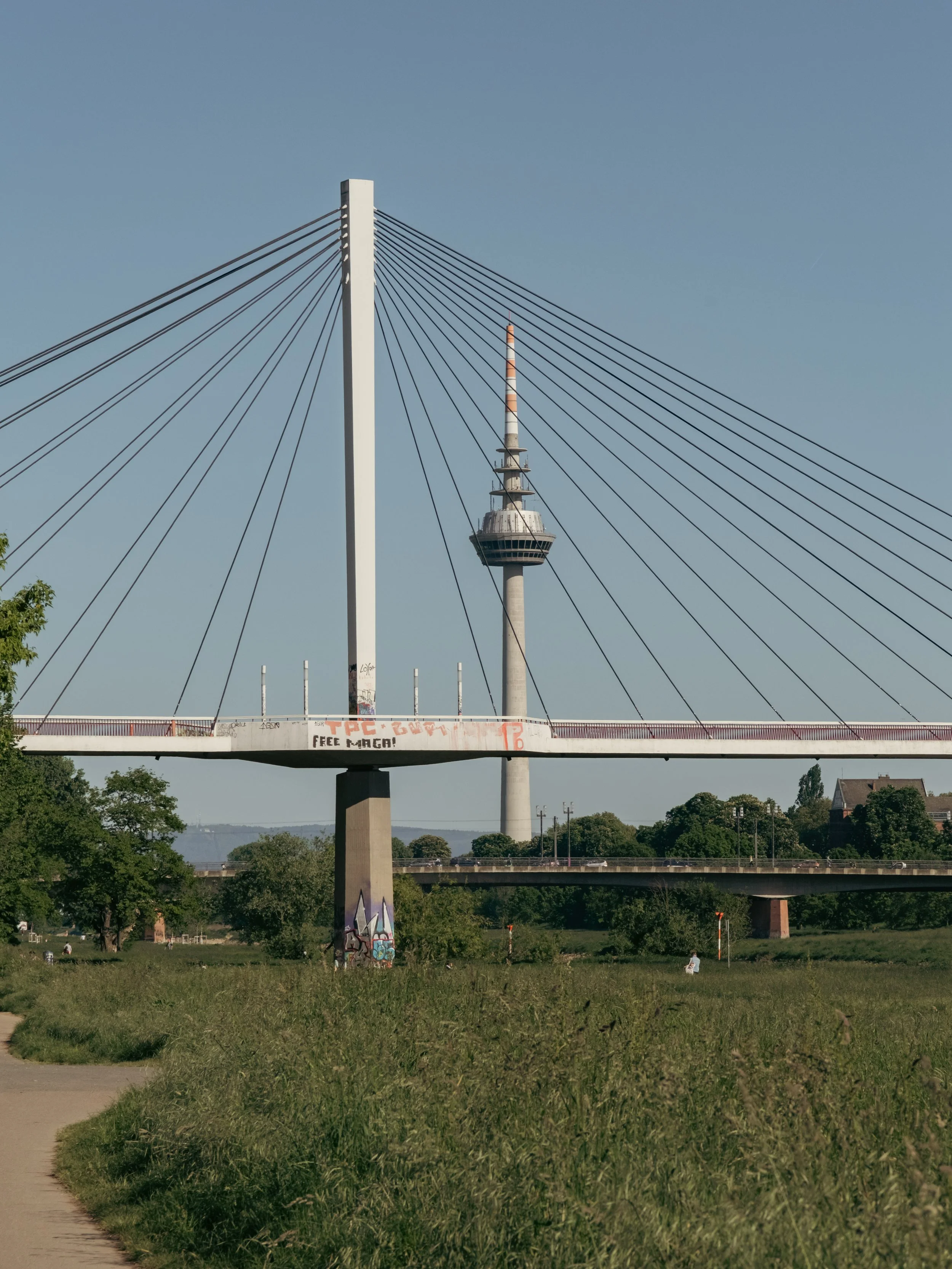 Brücke mit Kabelseilen und Fernsehturm im Hintergrund, bei Sonnenschein im Park