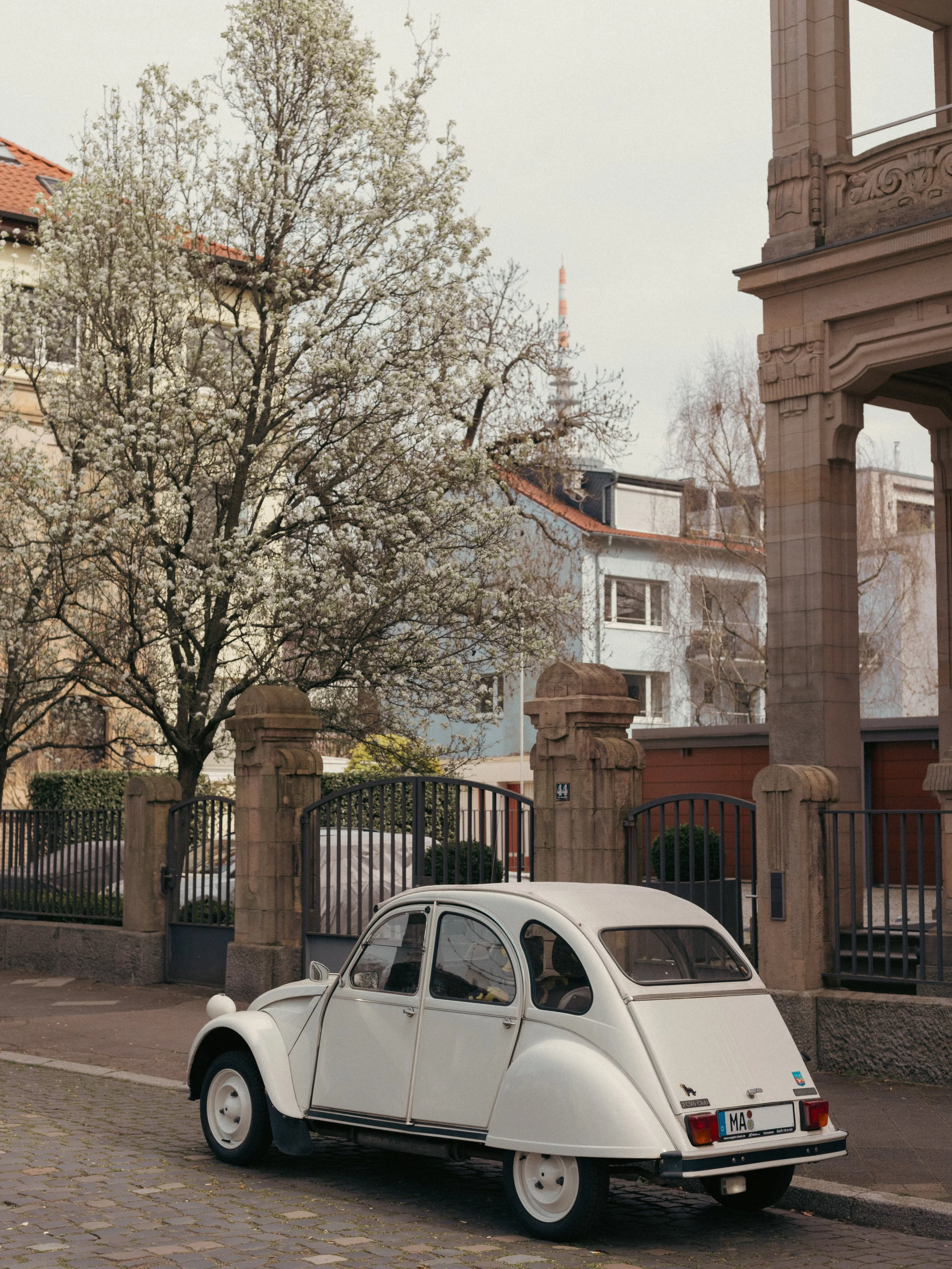 Ein weißes, kleines, rundenförmiges Auto, geparkt auf einer gepflasterten Straße vor einem Metallzaun und einer Steinmauer. Im Hintergrund sind Häuser, Bäume mit weiß blühenden Blüten und ein Fernsehturm zu sehen.