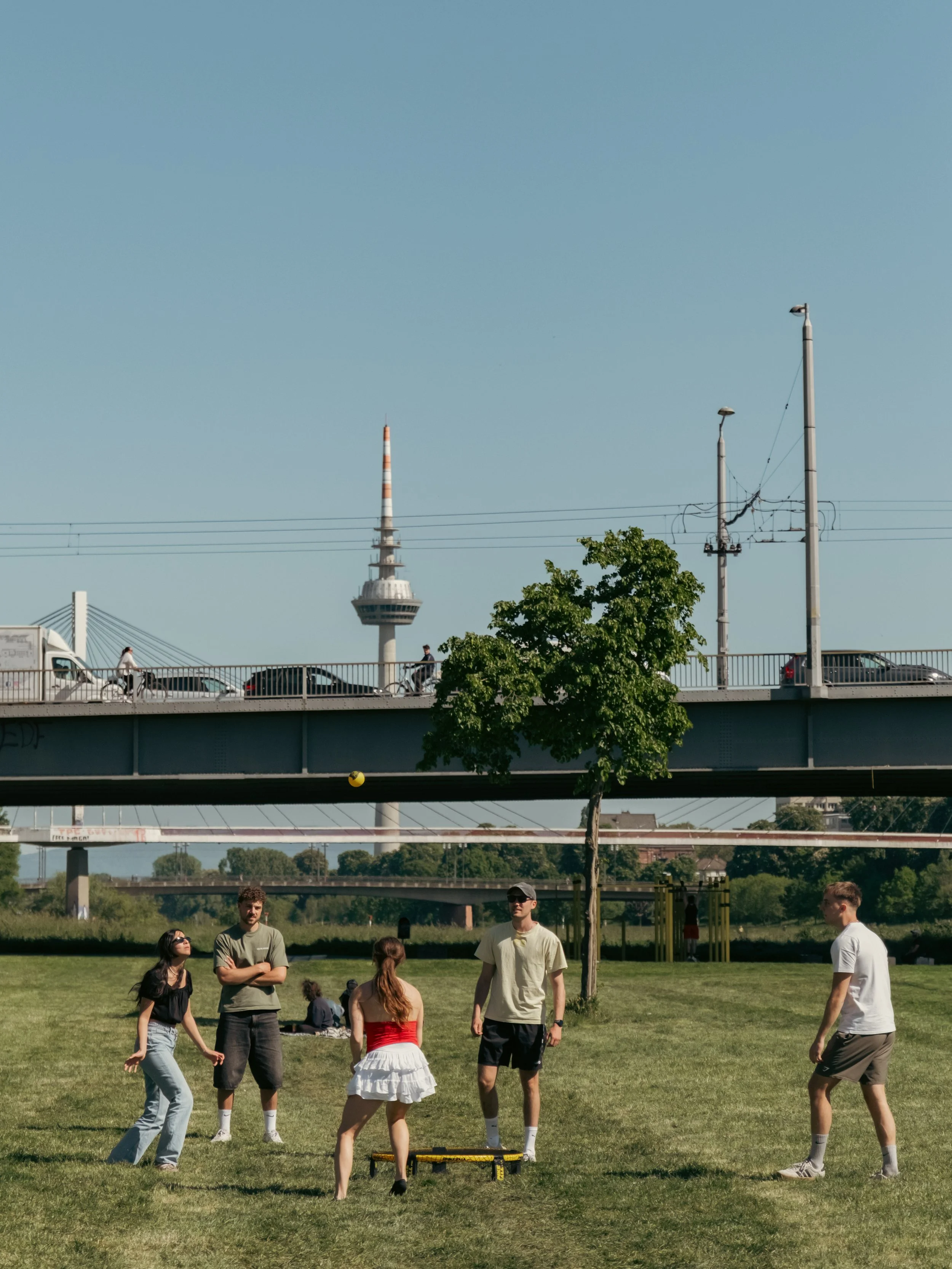Eine Gruppe von Menschen spielt auf einer Wiese Spikeball in Mannheim, im Hintergrund eine Brücke und eine Stadt mit einem Fernmeldeturm. Es ist sonnig und die Leute scheinen Spaß zu haben.