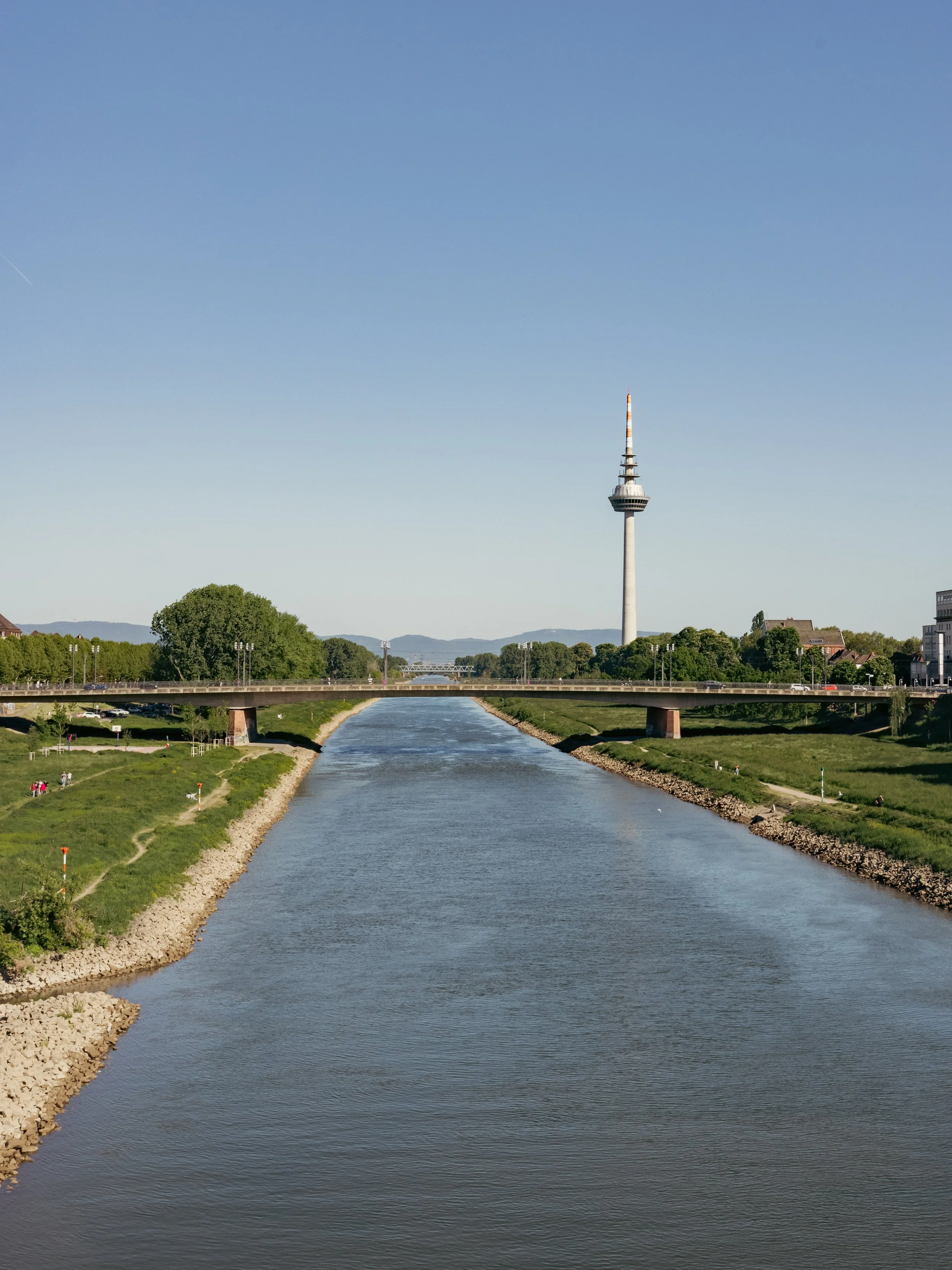Ein Fluss fließt durch eine grüne Landschaft mit Bäumen, auf einer Brücke befindet sich der Fernmeldeturm von Mannheim im Hintergrund, unter blauem Himmel mit leichter Wolken.