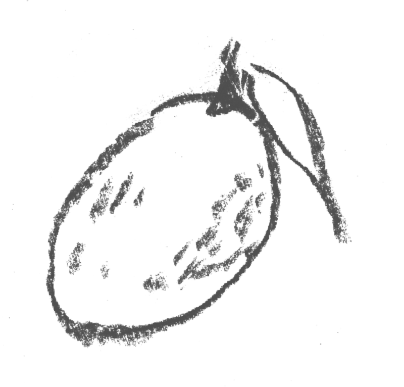 A sketch of a cherry with a stem on a black background.
