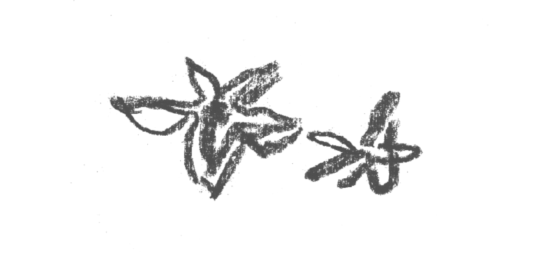 A rough sketch of a goat's head with horns and a beard, followed by a cursive signature or handwritten text.