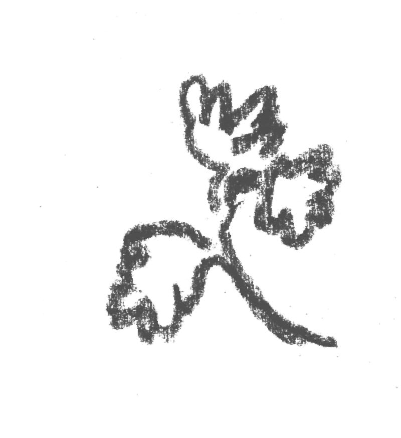 Black and white line drawing of a flower with a curved stem and petals.
