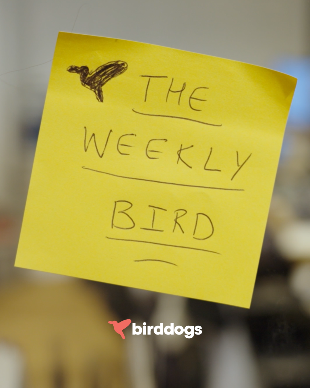 The Weekly Bird
