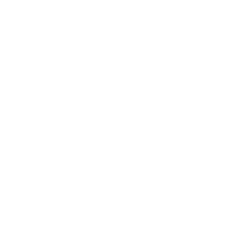 distant cousins | culture, community, commerce in motion