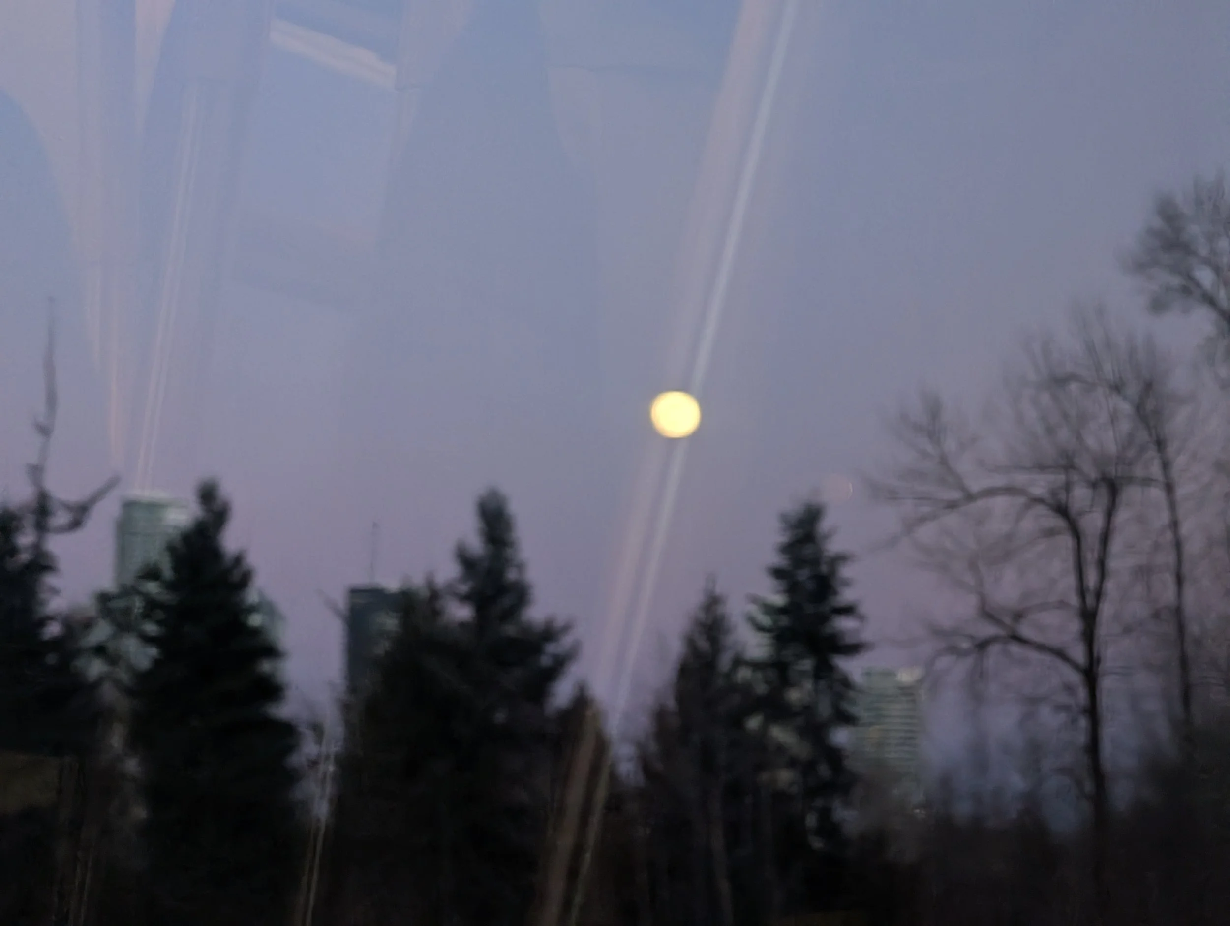 PXL_20250212_013337319.jpg
