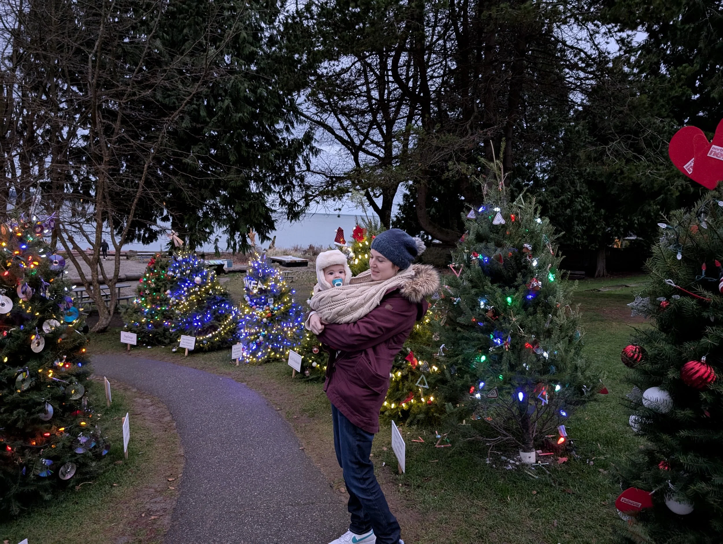 PXL_20241223_003400323.RAW-01.MP.COVER.jpg