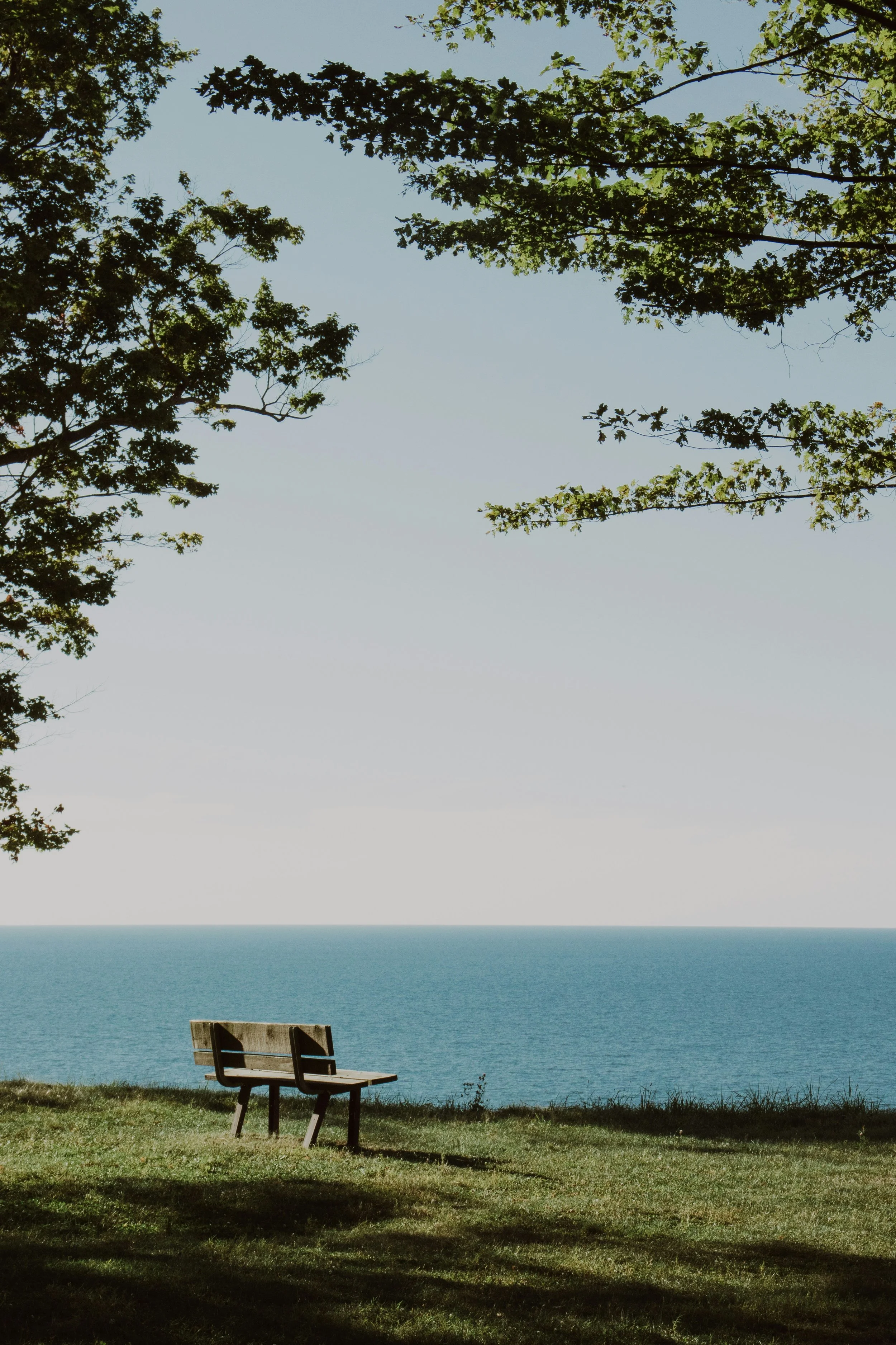 A wood bench facing the water ready for a somatic therapist in Nova Scotia