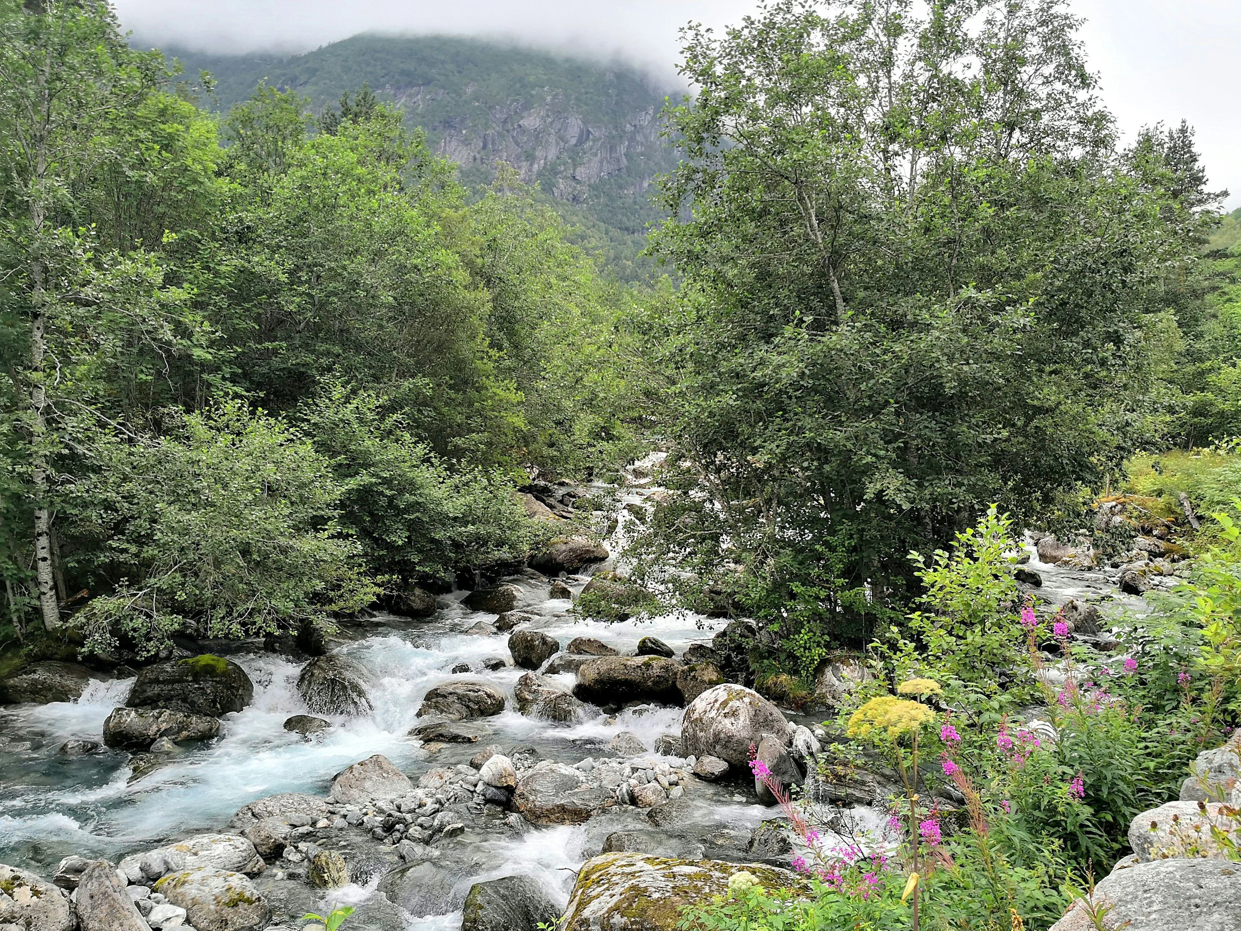 a creek on the mountainside