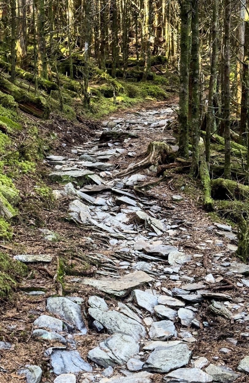 A rock path up a mountain to illustrate the benefits of burnout therapy and trauma therapy in Ottawa