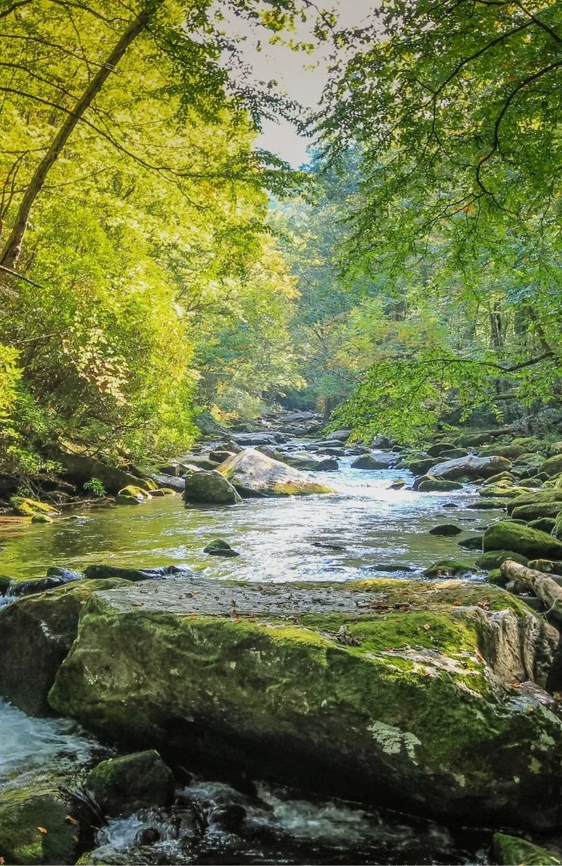 A creek to illustrate the benefits of burnout therapy and trauma therapy in Ottawa
