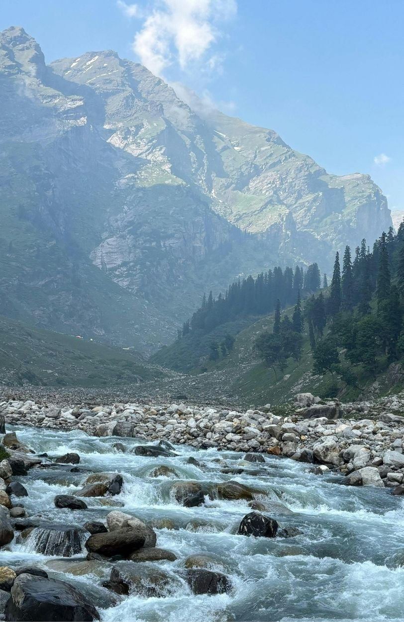 a mountainside creek