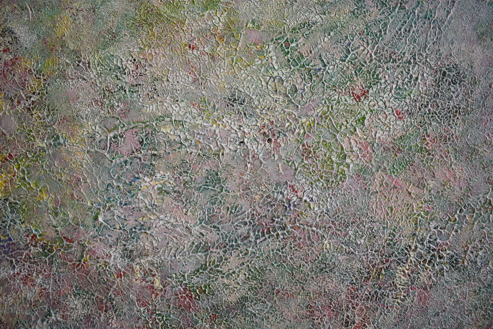 DSC_0314.JPG
