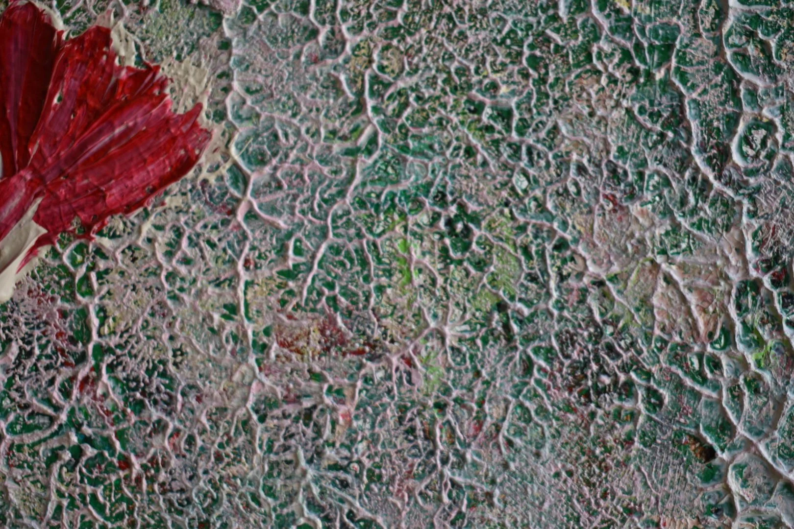 DSC_0316.JPG