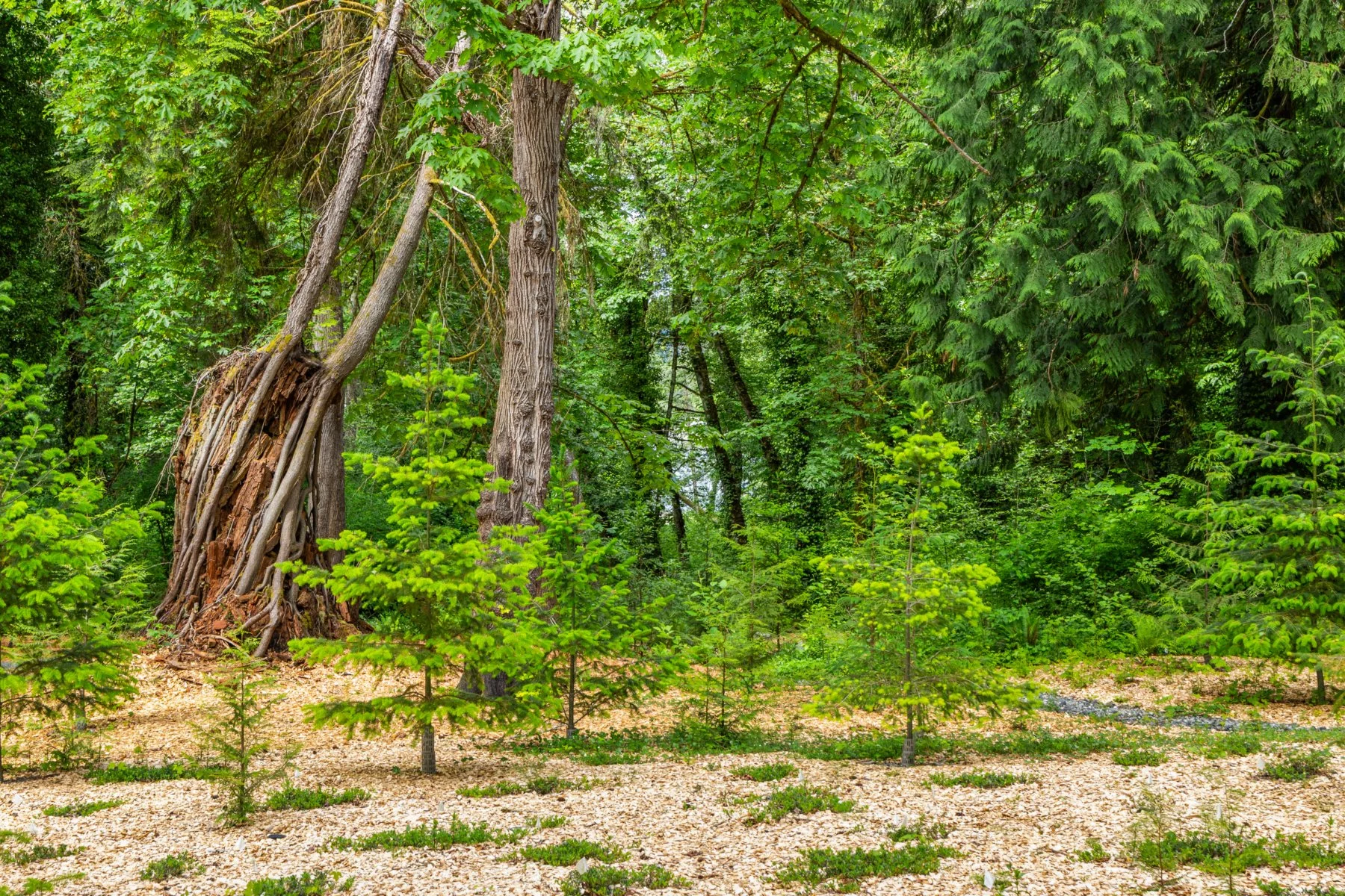 59.jpg