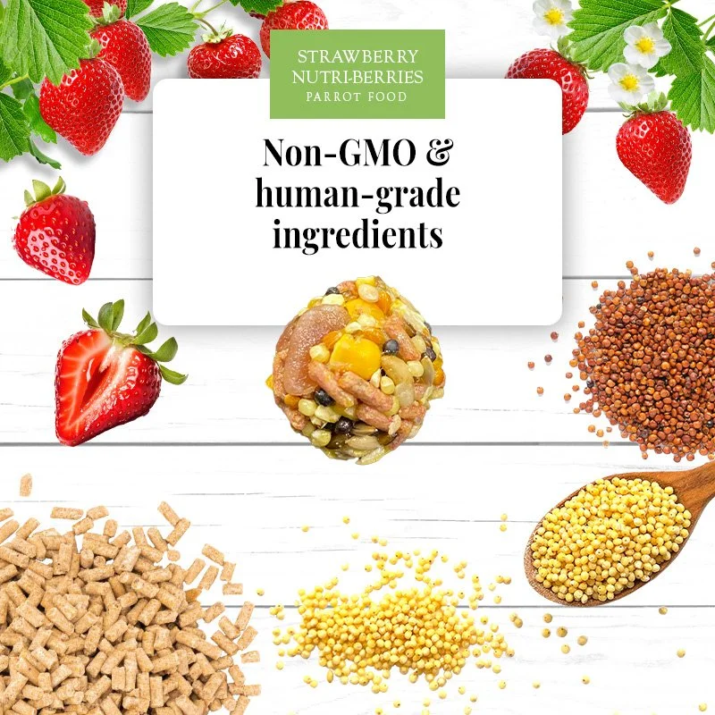 Parrot-Ingredients.jpg