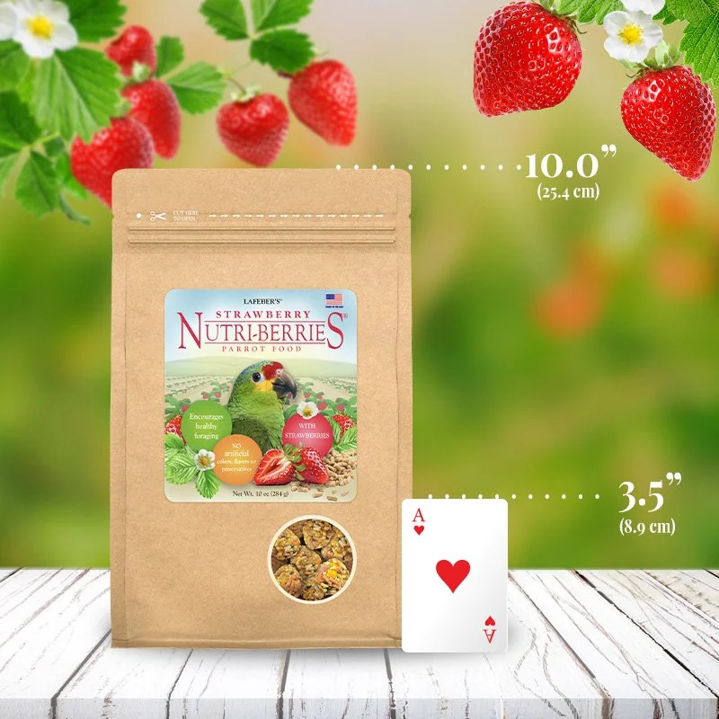 Strawberry Nutri-Berries for Parrots 10oZ