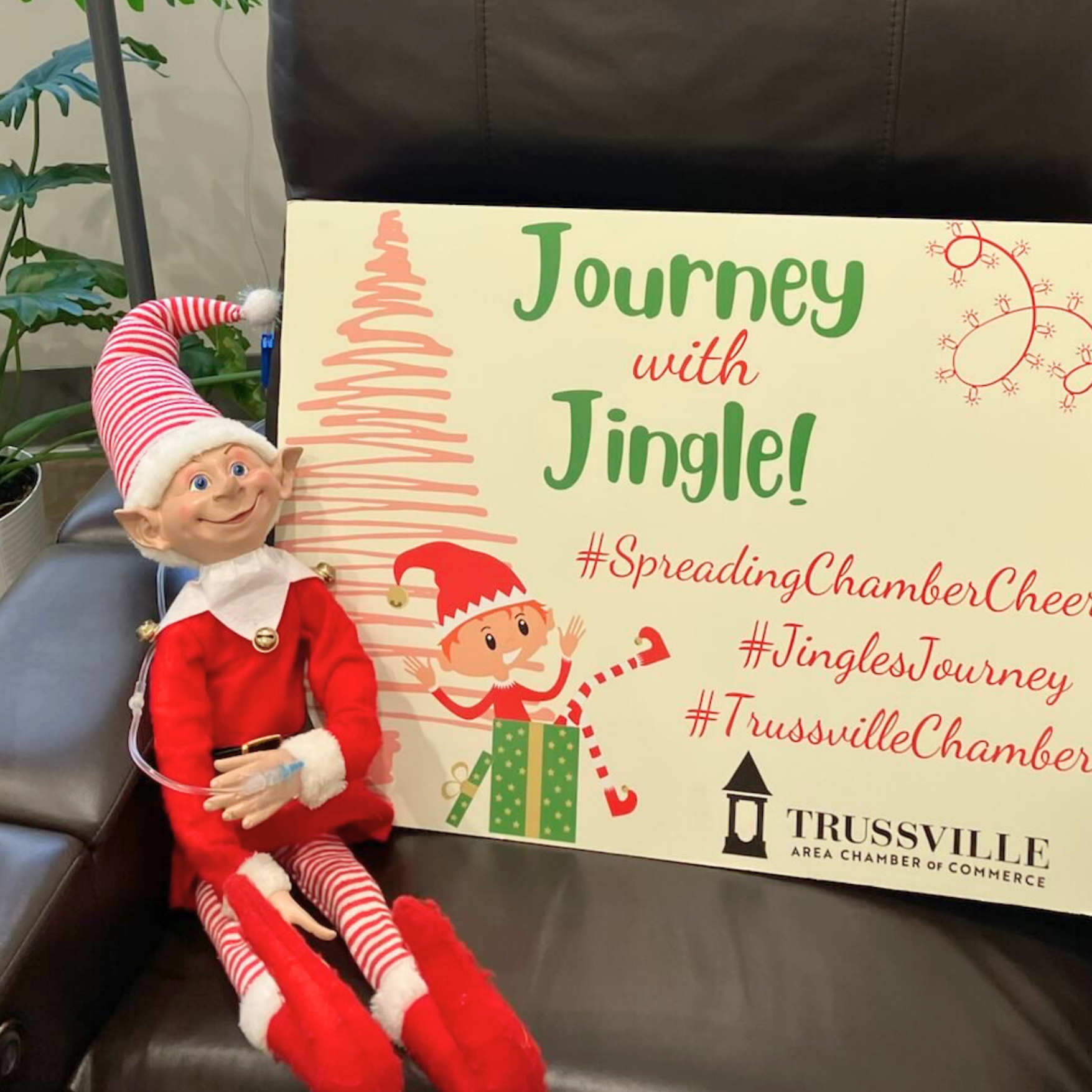 Supporting Trussville, One Mischievous Elf at a Time! 🎅💧