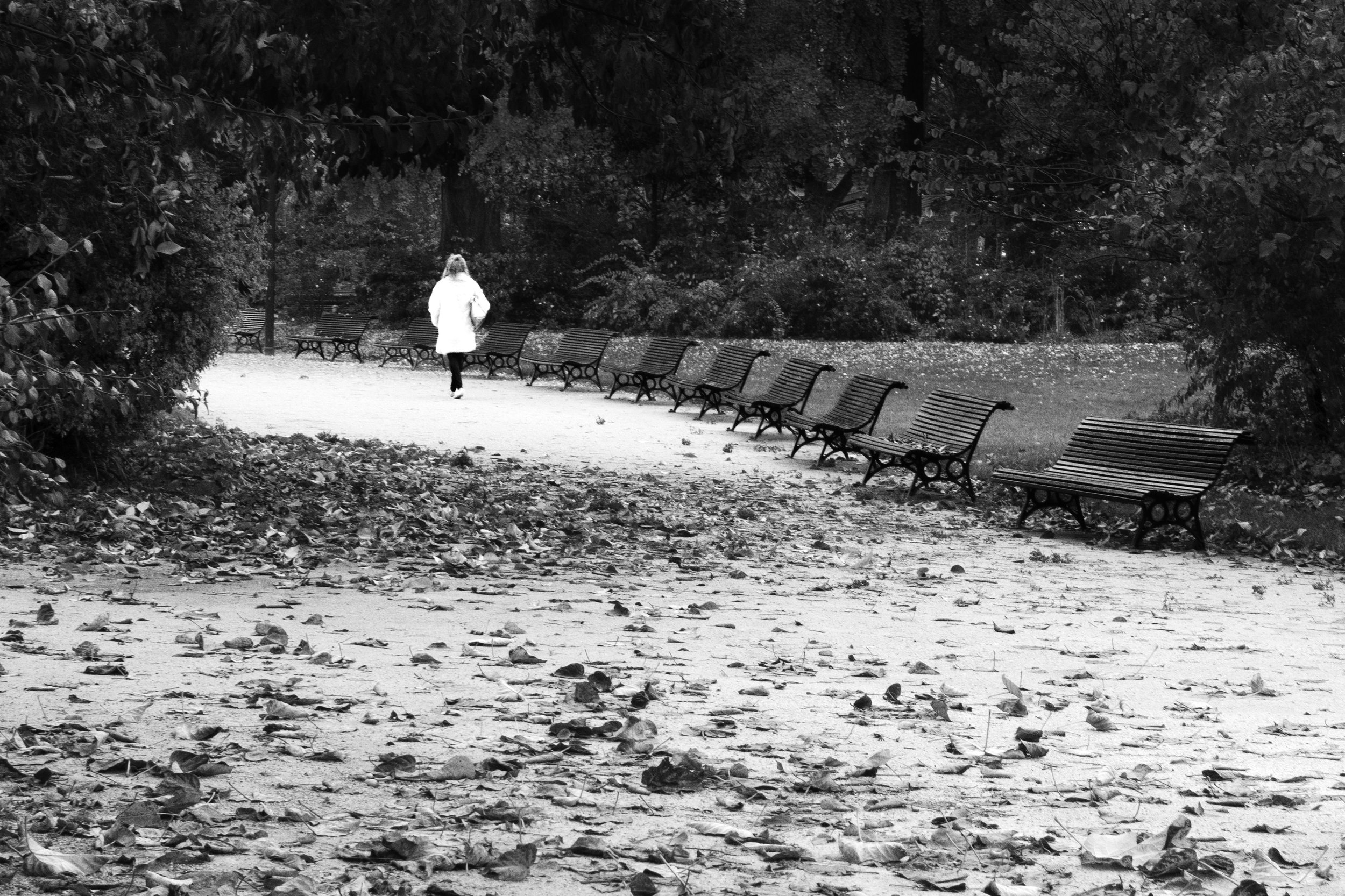 _DSC5085_587_2crop copy.jpg