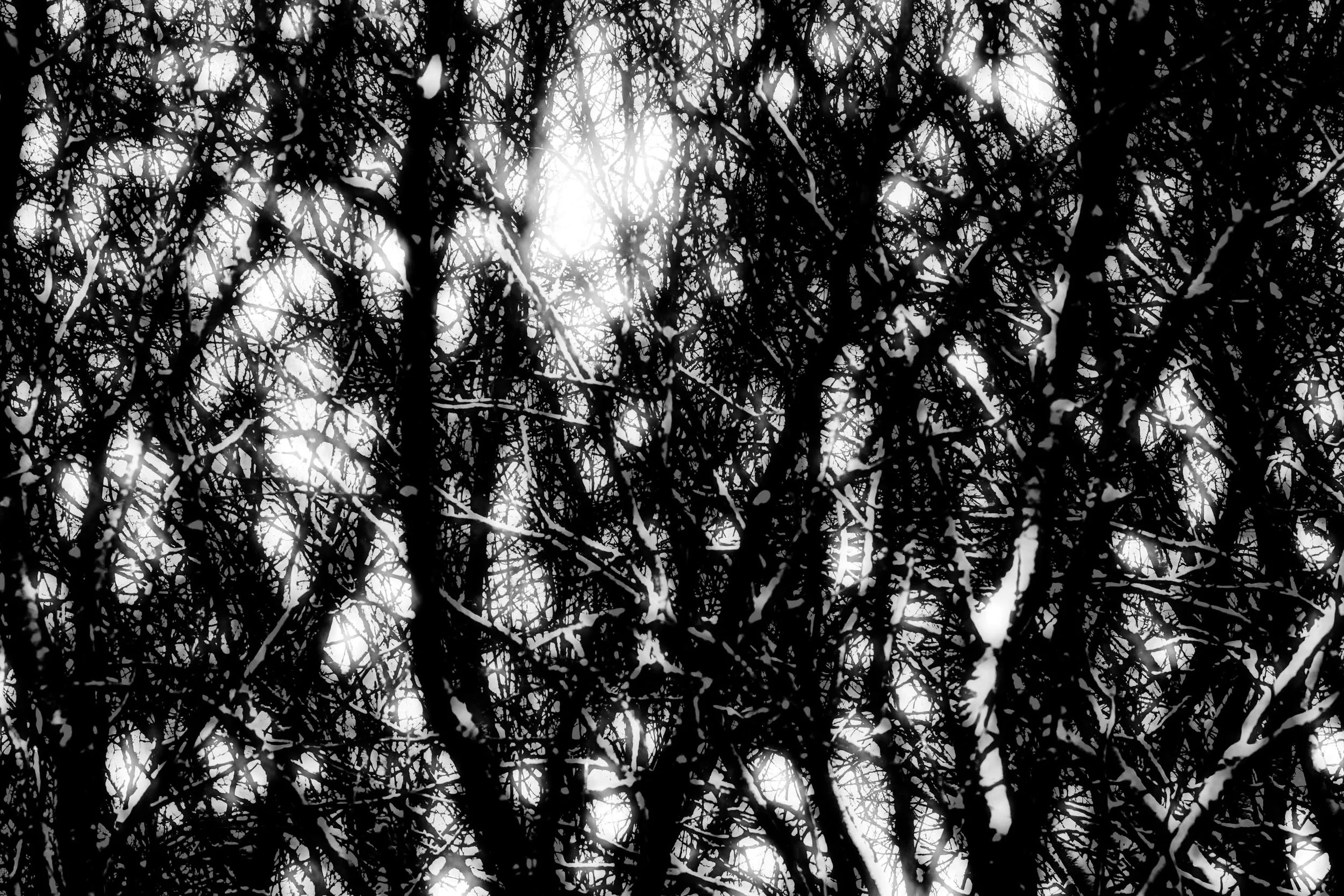 _DSC2467_2469_505_BW_H.jpg