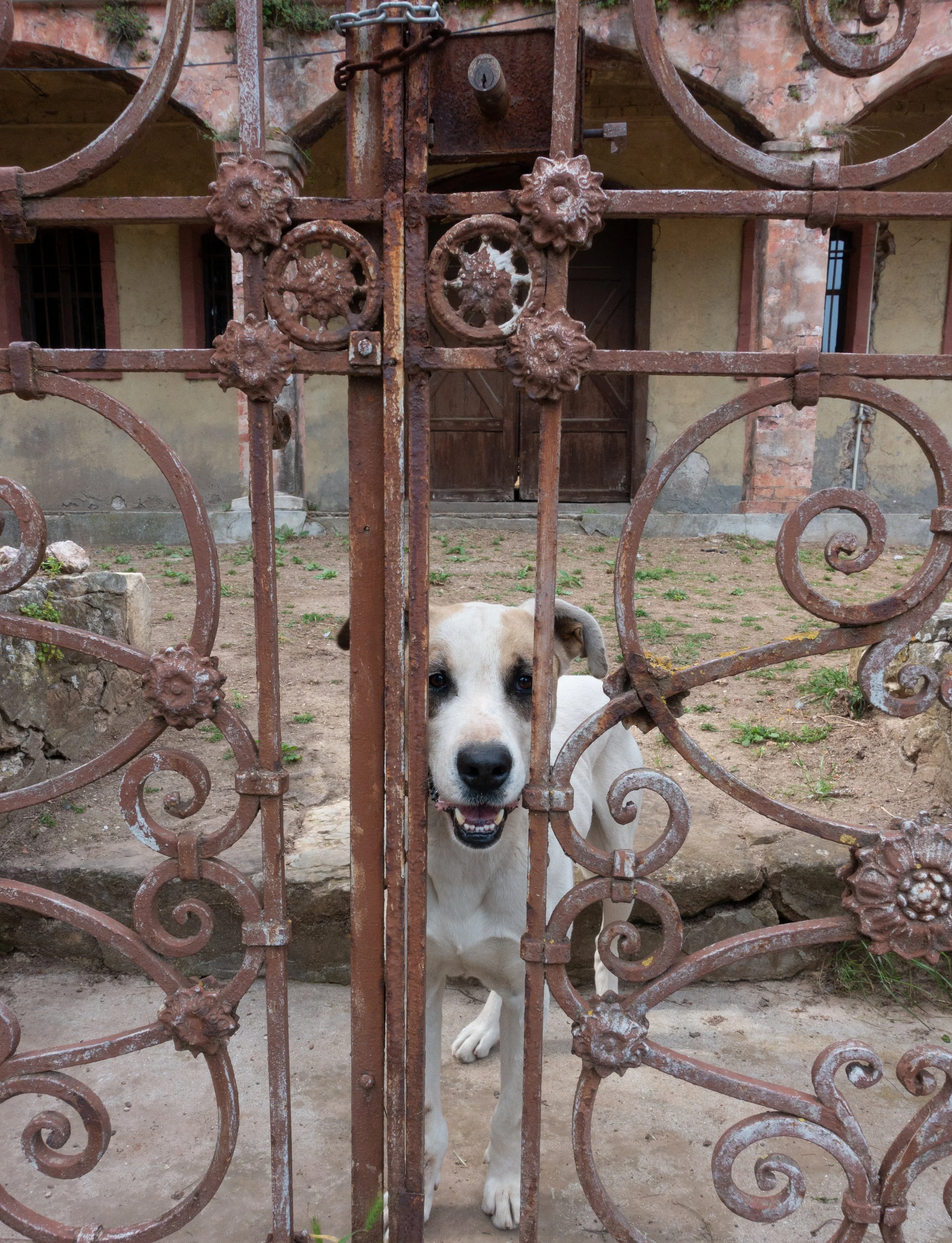 DSC01119_331.jpeg