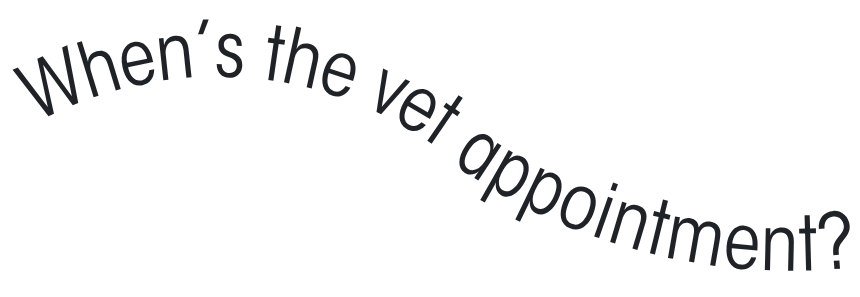Text graphic with curved text asking, "When's the vet appointment?"