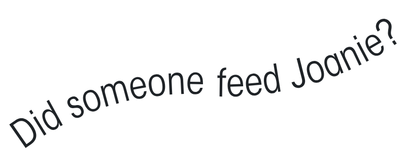 Text graphic with curved text asking, "Did someone feed Joanie?"