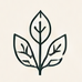 Icon of a leaf representing strategic clarity