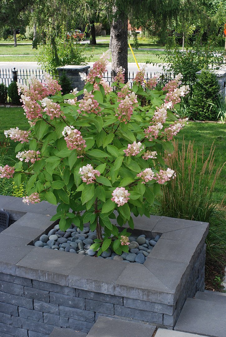 Byron Garden