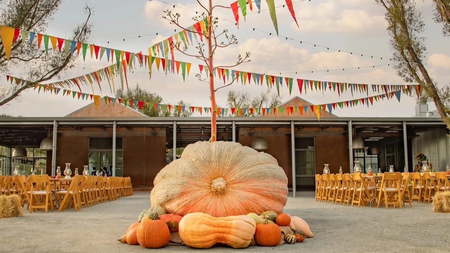 Giant+Pumpkin+Harvest+Party.jpg