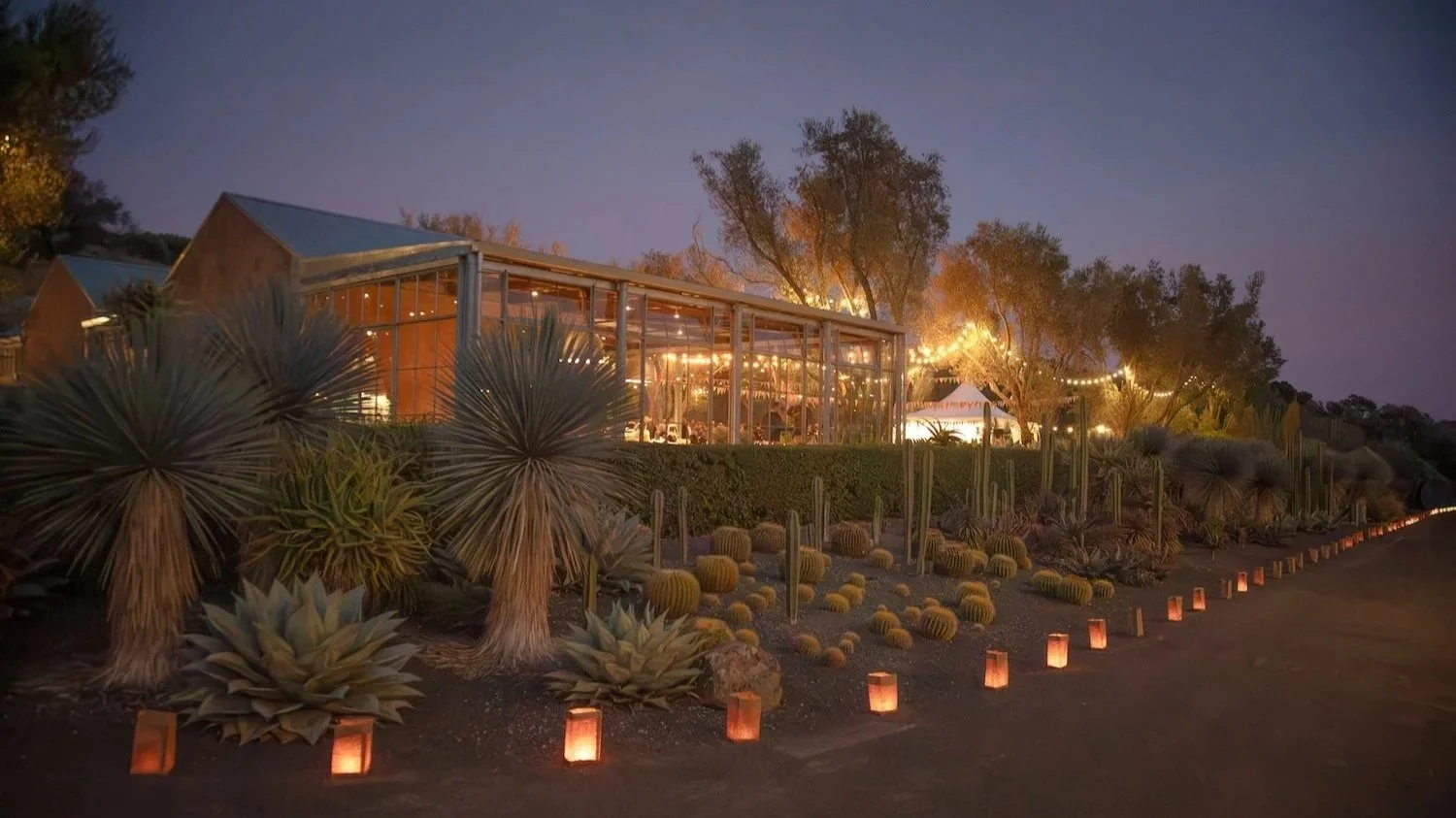 Hospitality+building+at+night.jpg