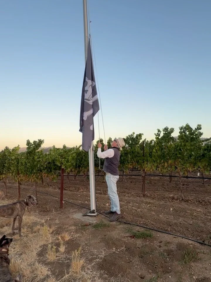 All hands on deck. Anything can happen. Harvest has begun. 🏴&zwj;☠️

#harvest2026 #napavalleyharvest #pirateflag #jollyroger #hudsonvineyards