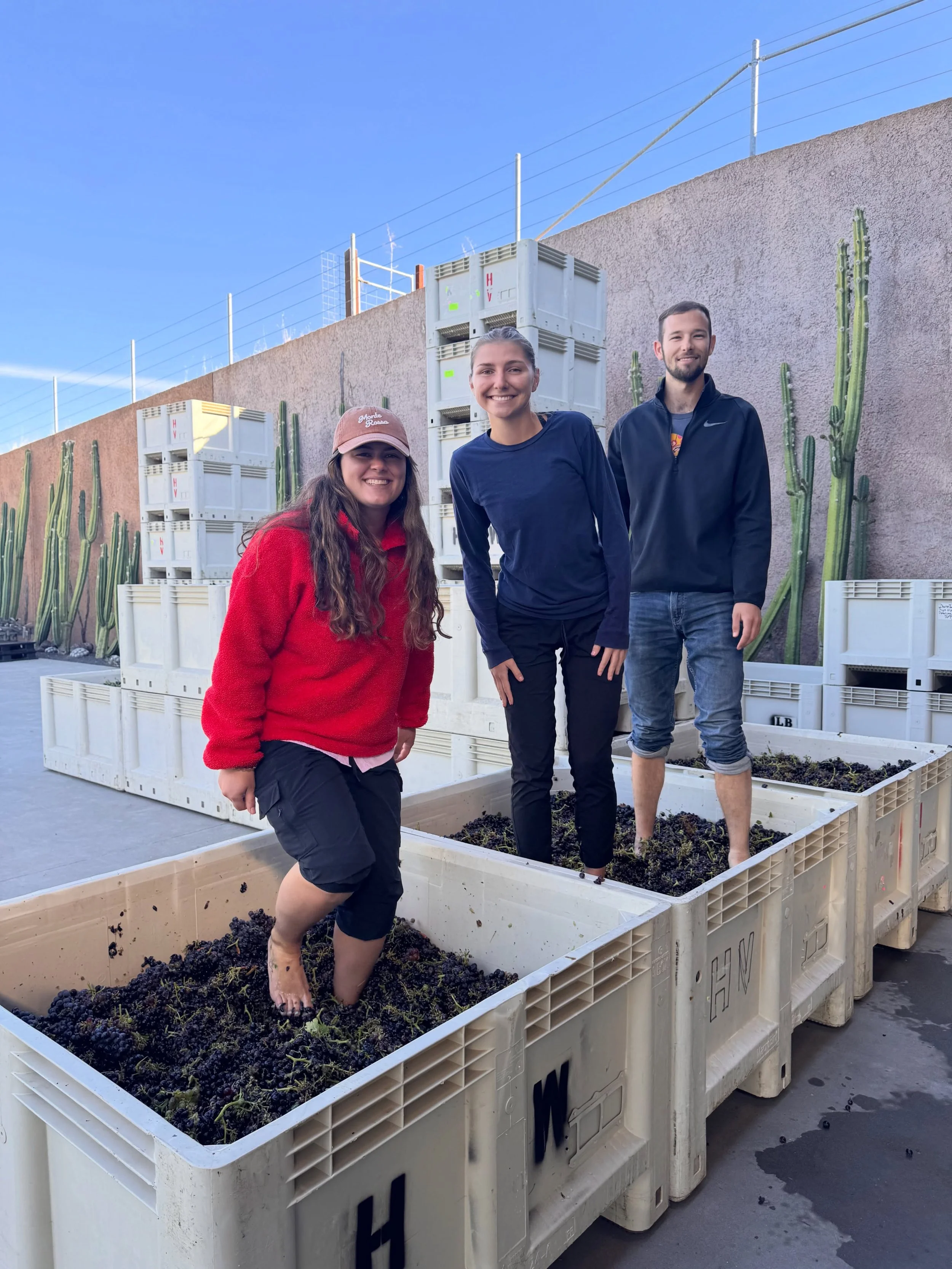Our annual team foot tread officially kicked off another vintage of Hudson Grenache Ros&eacute;. A little messy, a lot of fun, and one of our favorite ways to welcome harvest each year. 🍇💃

#napavalley #hudsonranch #hudsonros&eacute; #grenache #foo