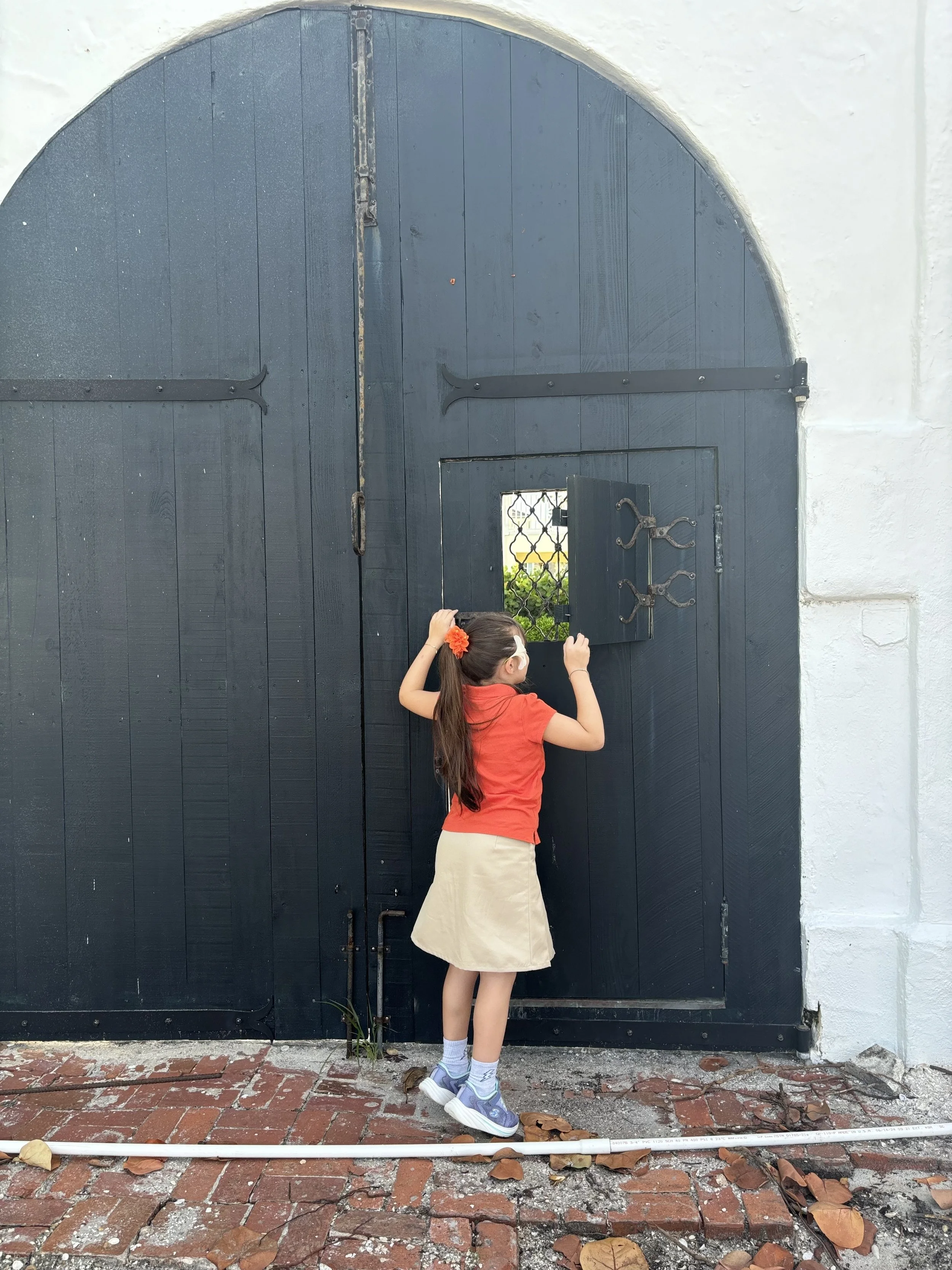 Brefore-old wood gate