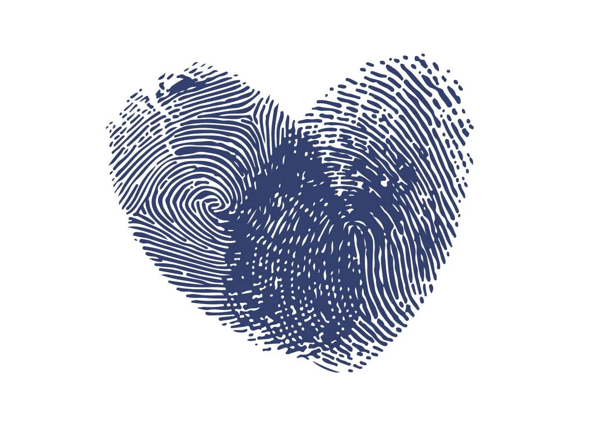 A heart shape made up of dark blue fingerprint patterns on a white background.
