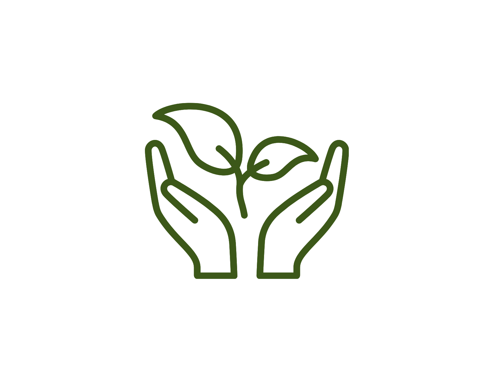 Outline of two hands cupping a small plant with leaves.