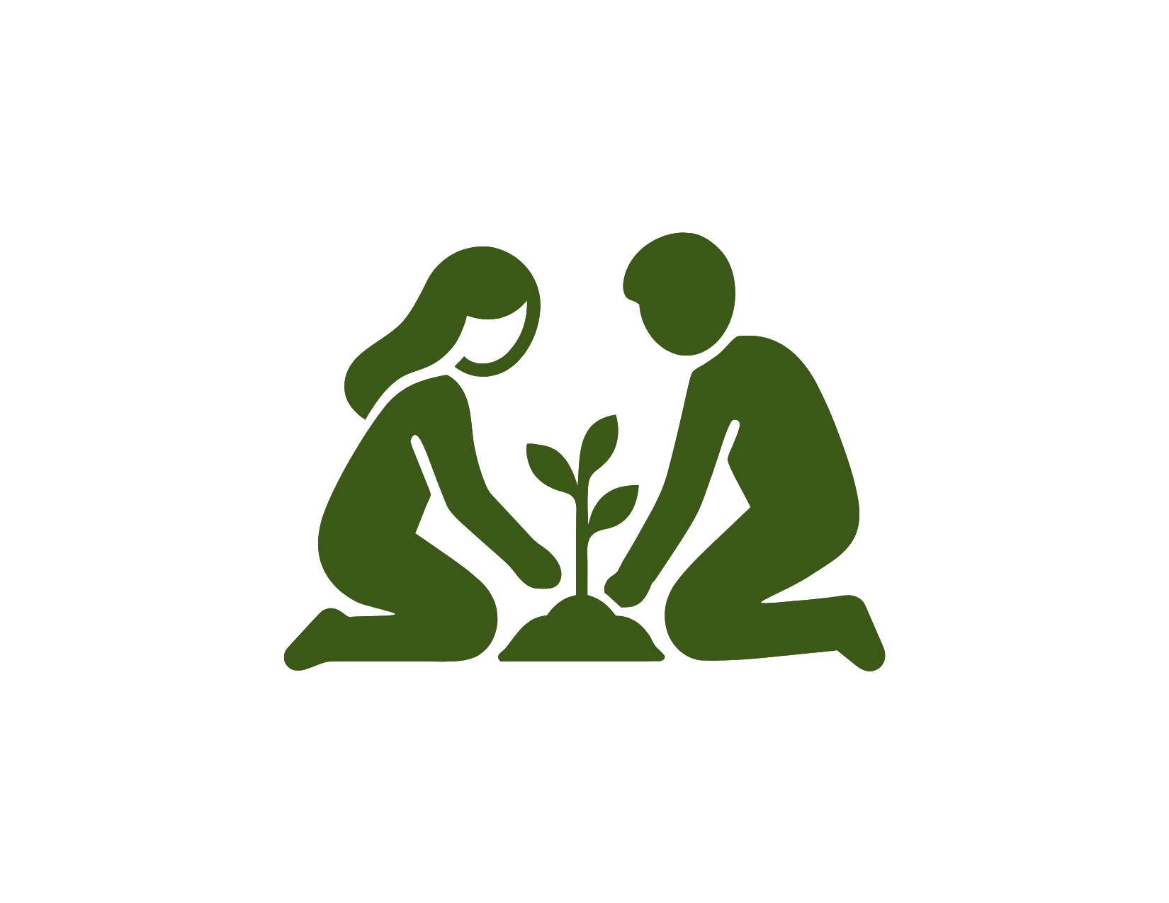Silhouette of two people planting a small tree together.