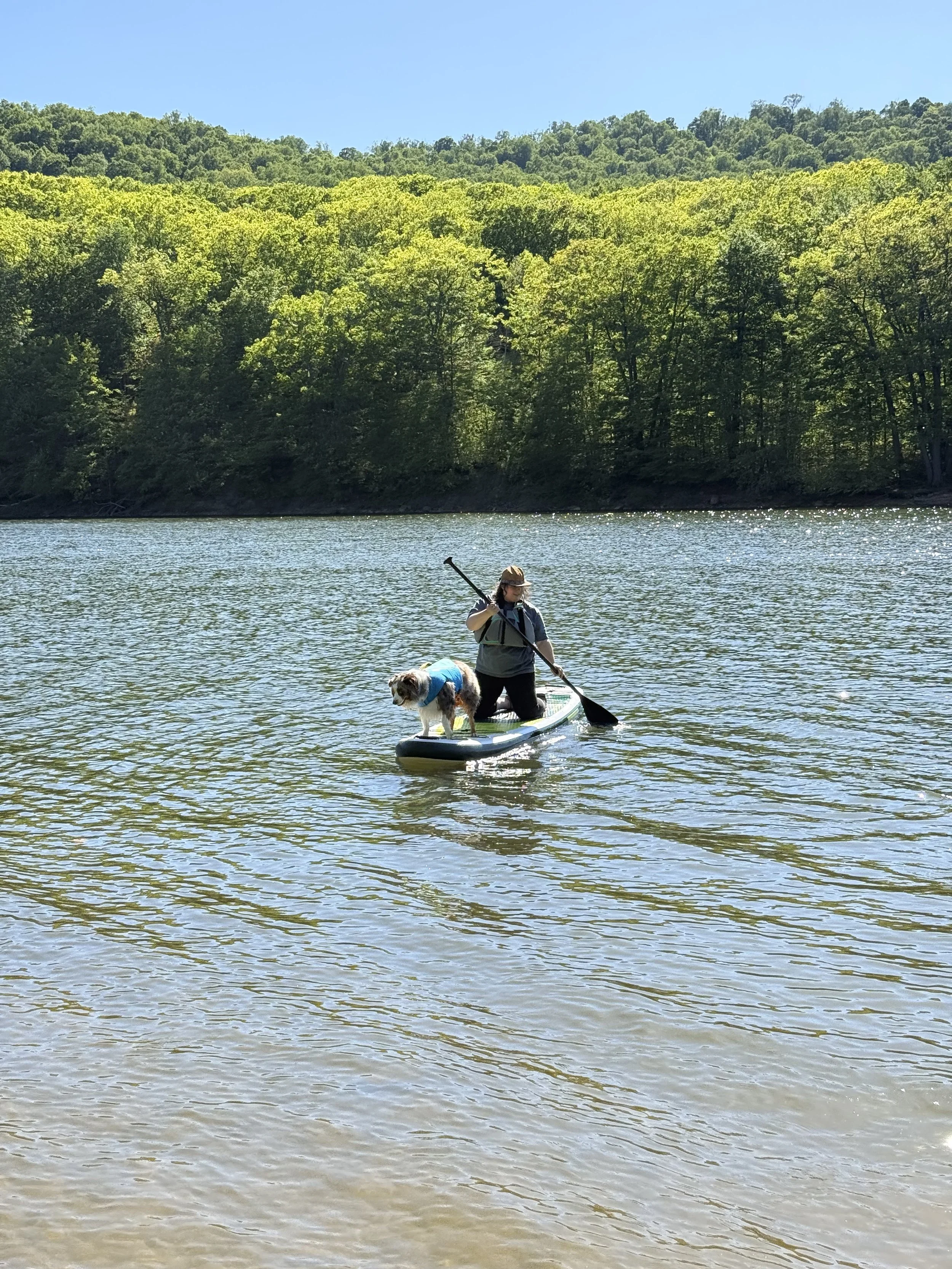 A person paddling a stand-up paddleboard with a dog on it, on a calm body of water, with a backdrop of green trees and a blue sky.