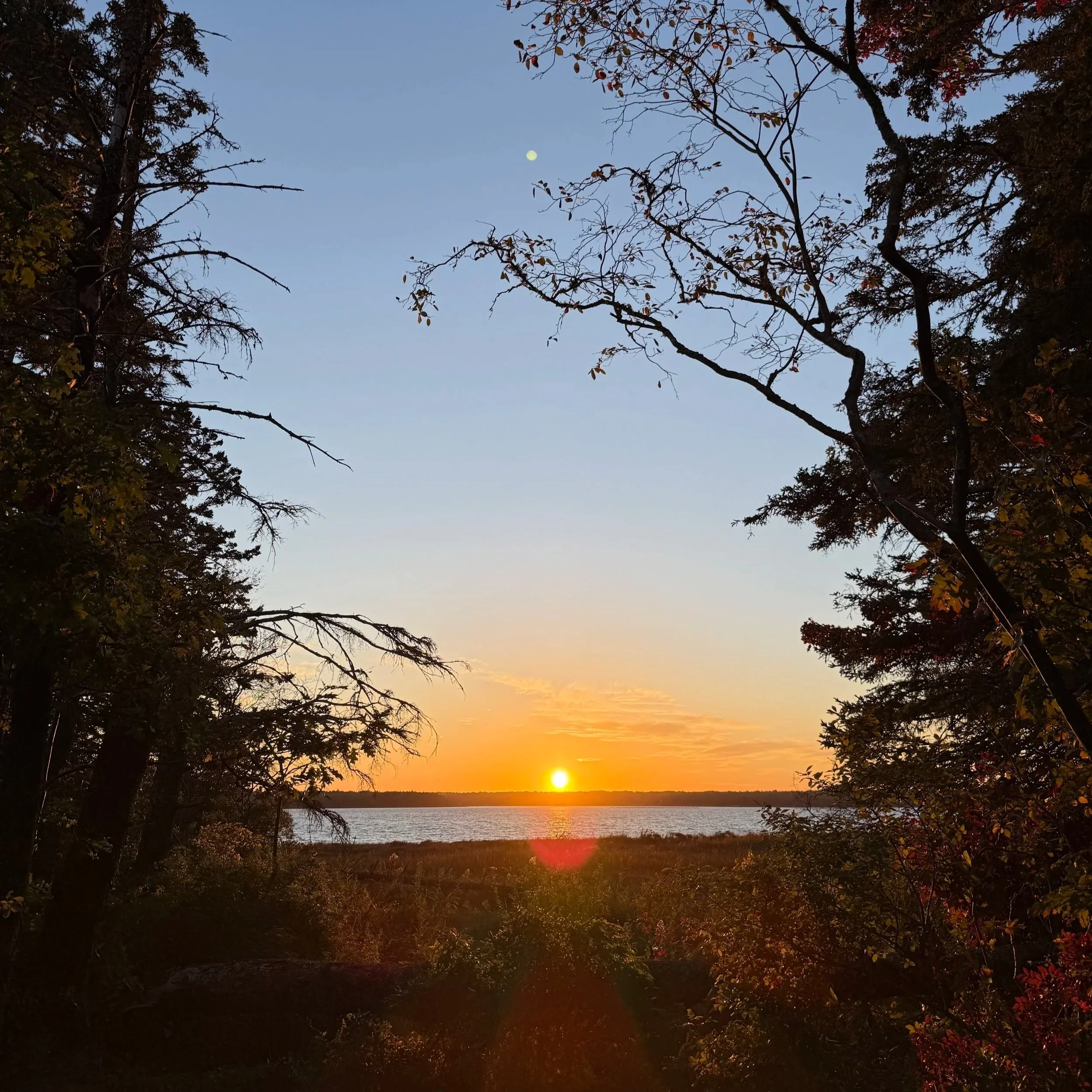 Sunset over a lake with trees in the foreground and the moon visible in the sky.