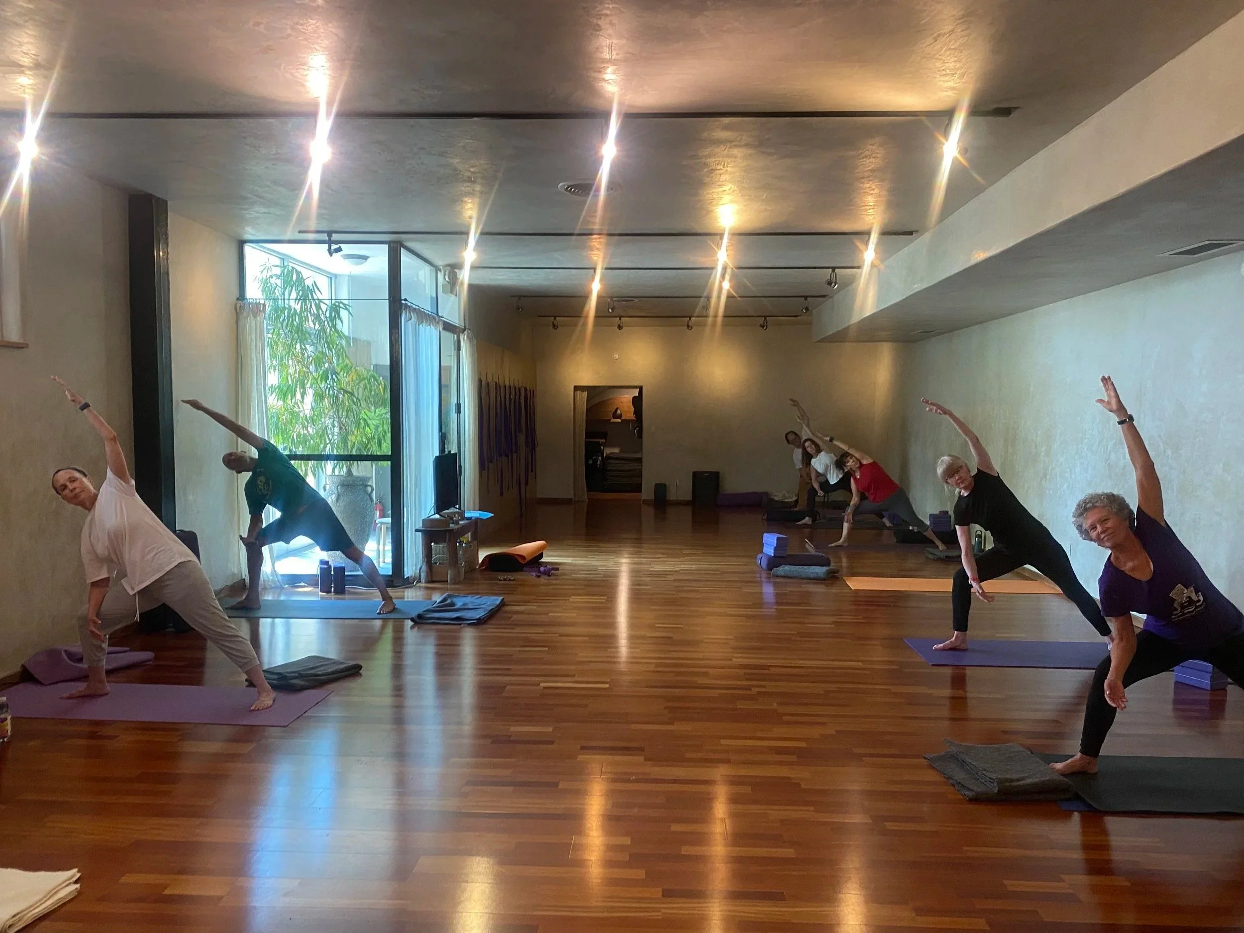 Level 1 Iyengar Yoga: The Fundamentals 