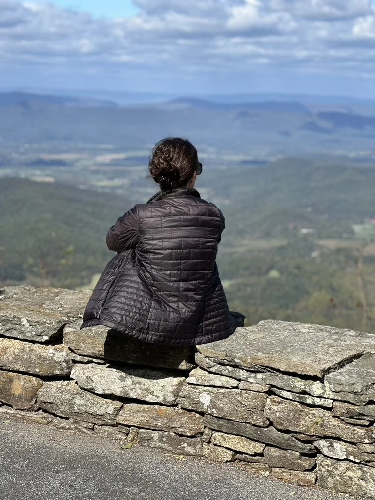 Skyline Drive - sitting on a stone wall overlooking a vast landscape of mountains, valleys, and a partly cloudy sky.
