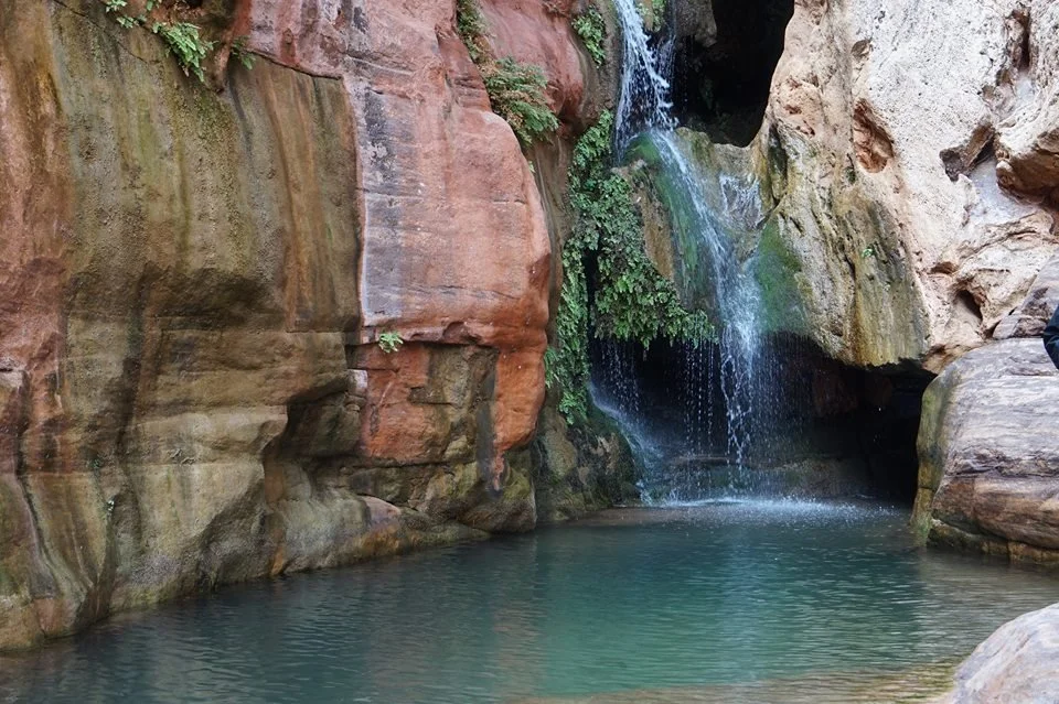 A small waterfall flowing into a natural pool surrounded by large rocks and greenery.