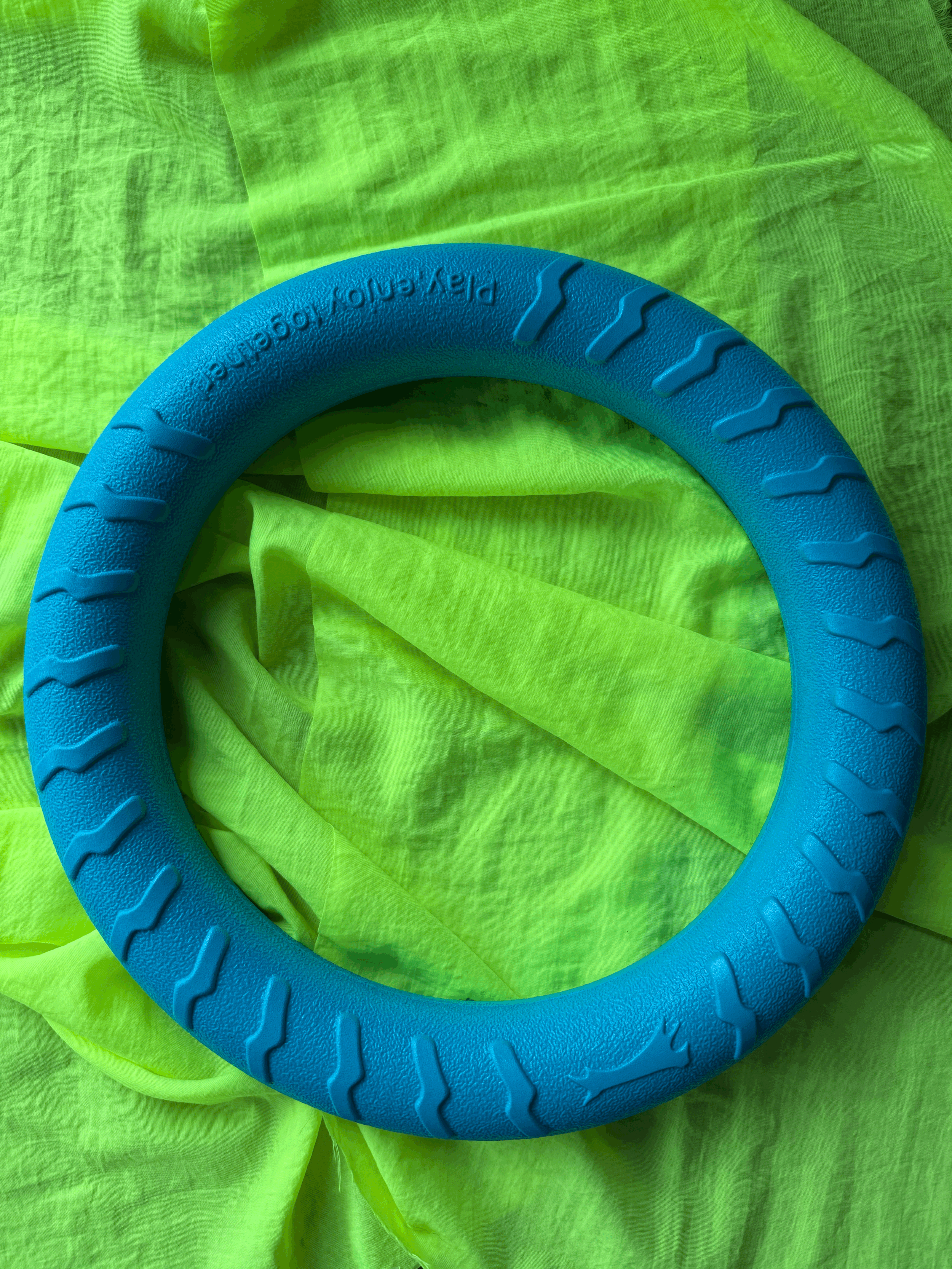 30cm Ring Toy