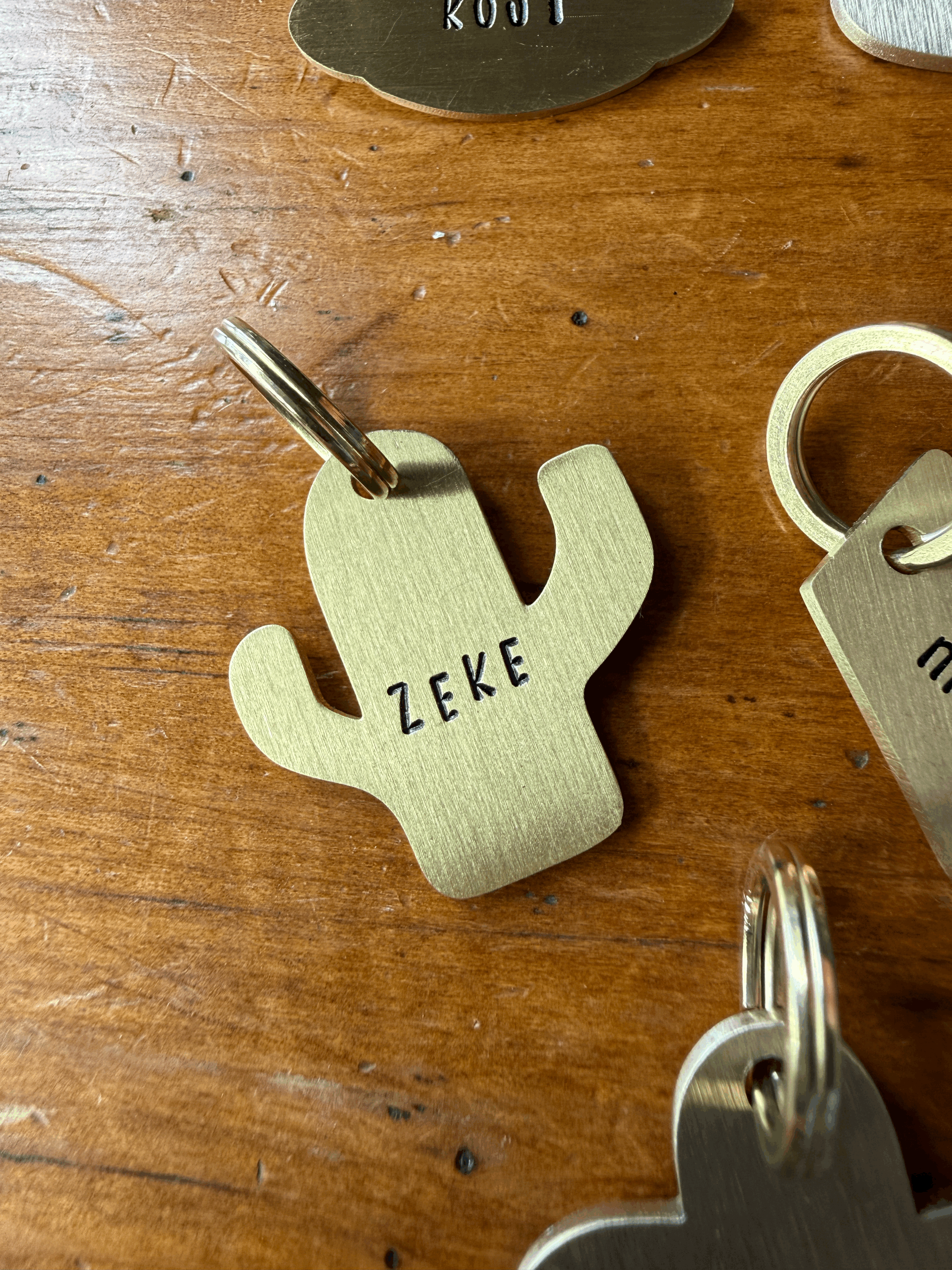 Prickle Pup - Cactus Brass Tag