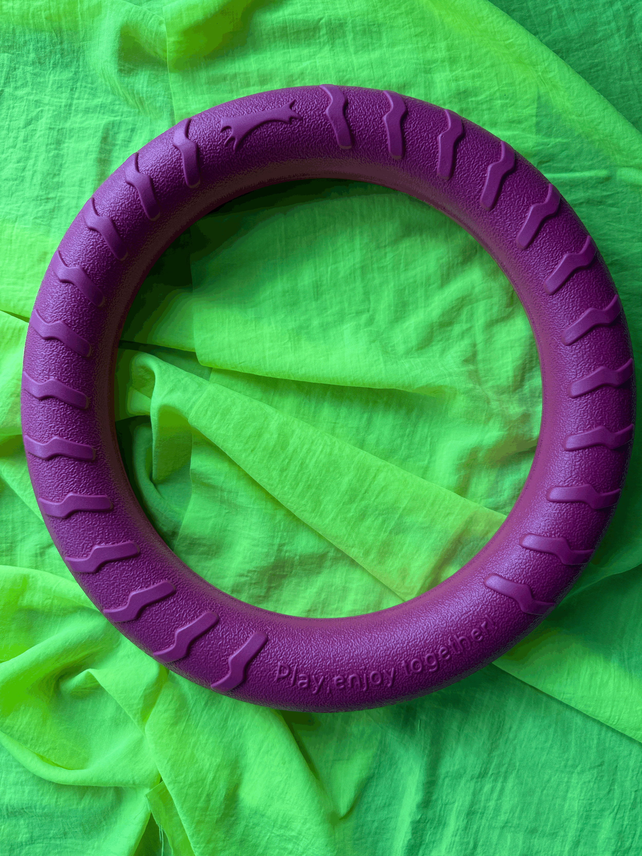 30cm Ring Toy
