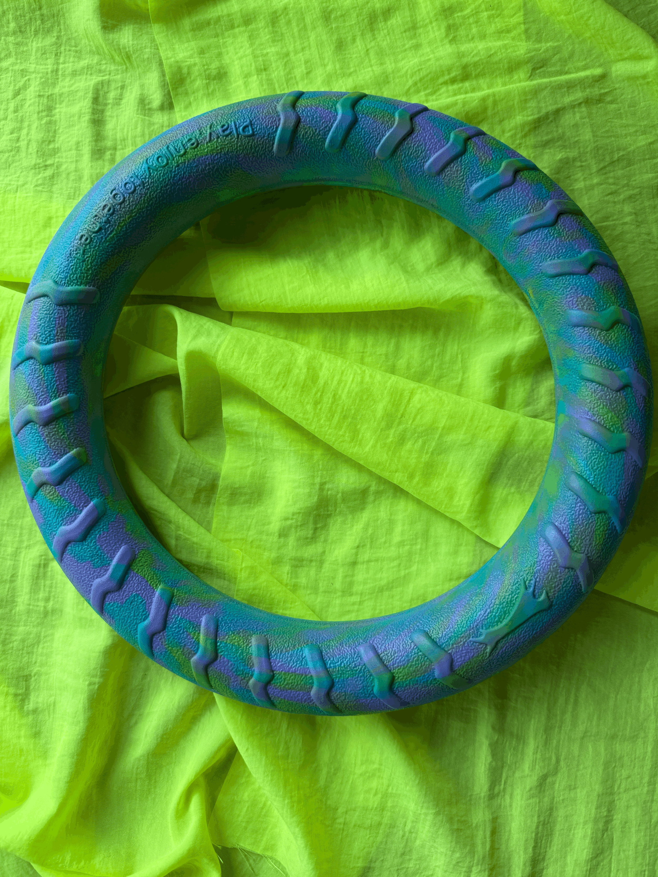 30cm Ring Toy