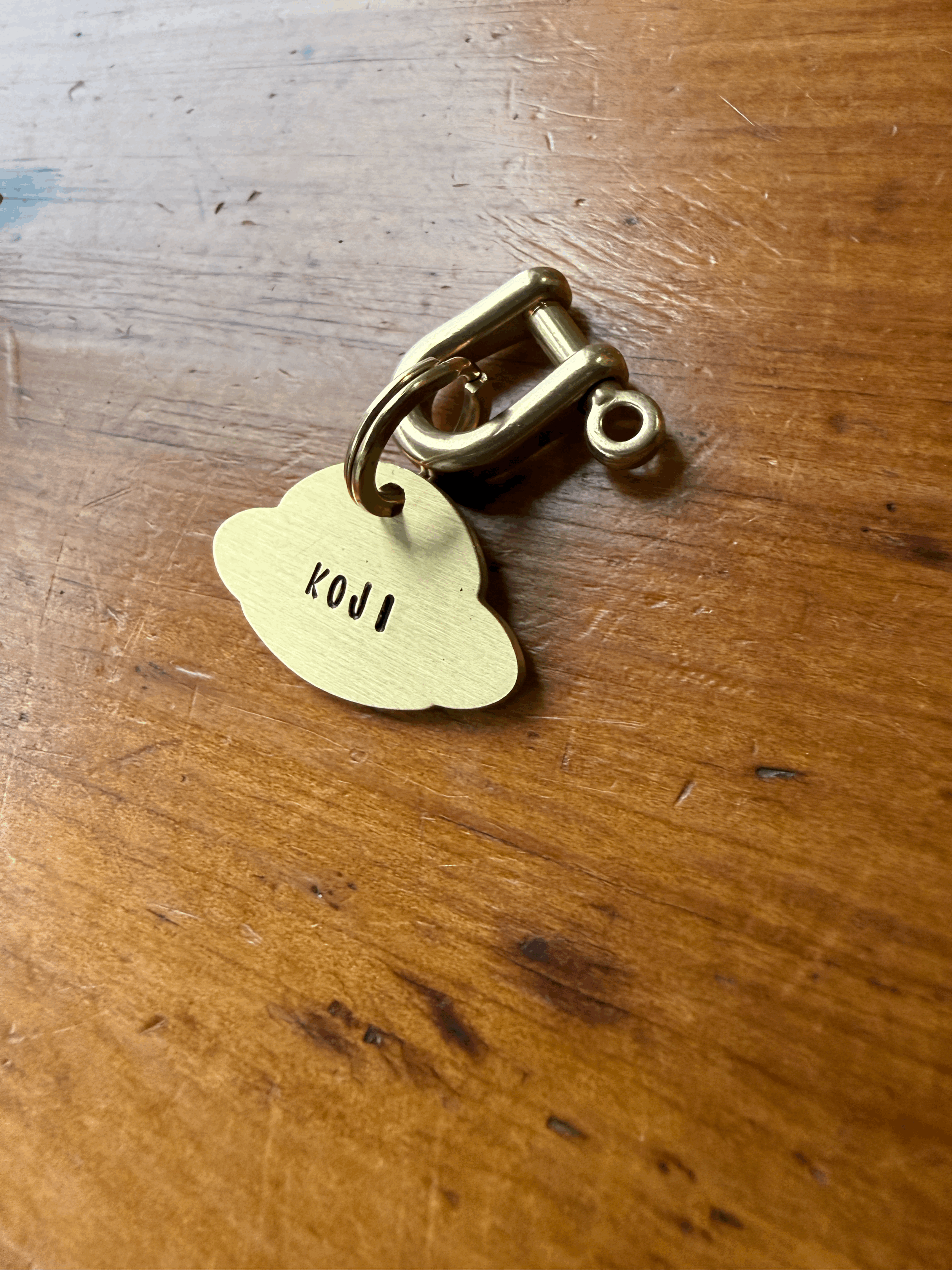Beam Me Up - UFO Brass Tag